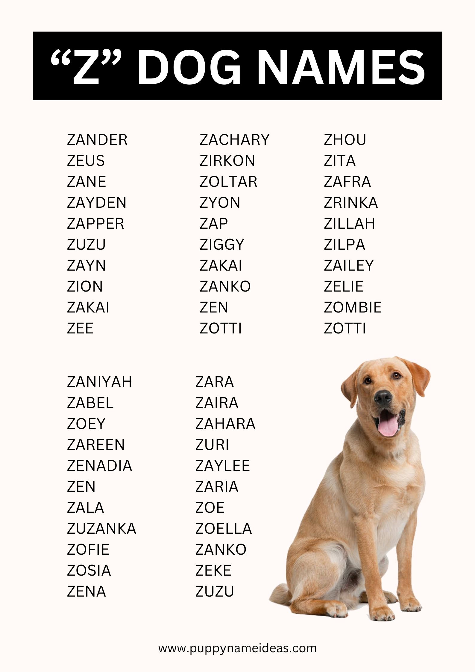 List Of Dog Names That Start With Z