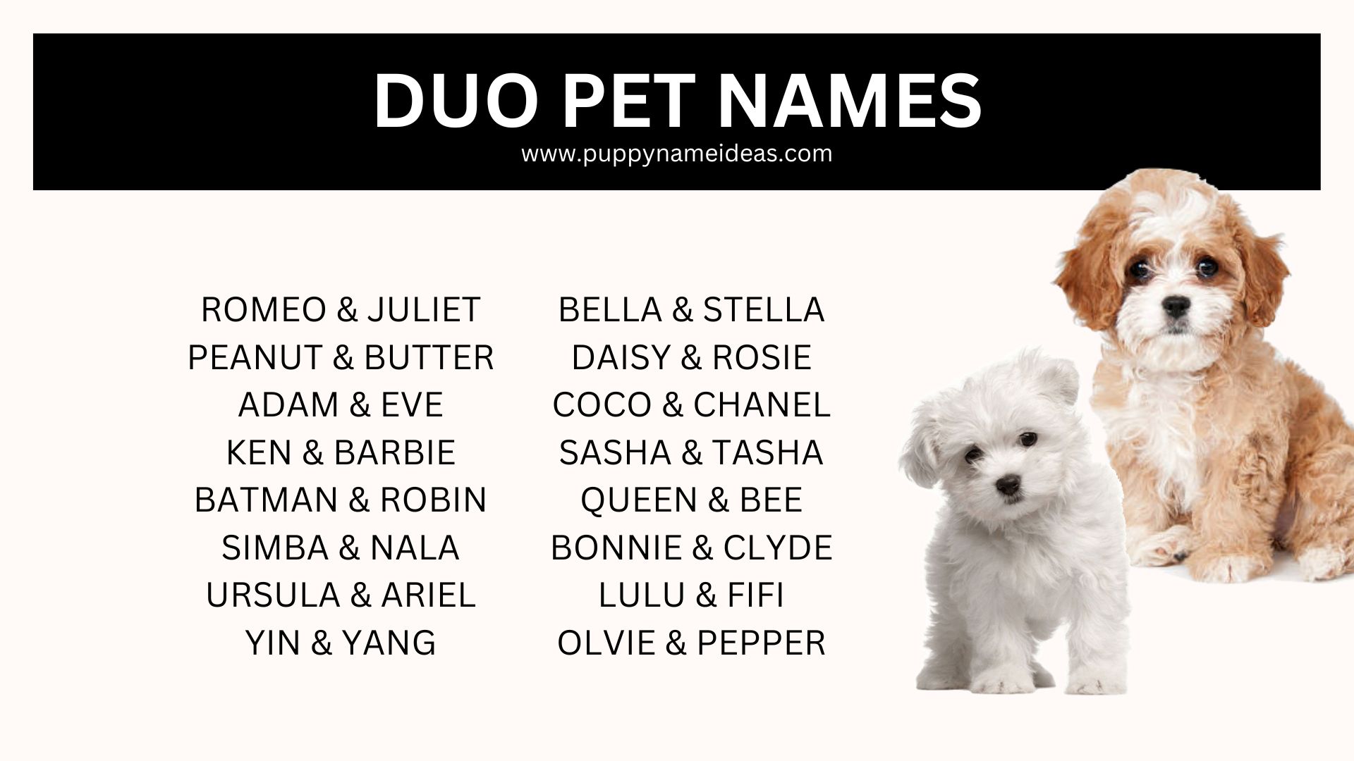 185+ Duo Pet Names