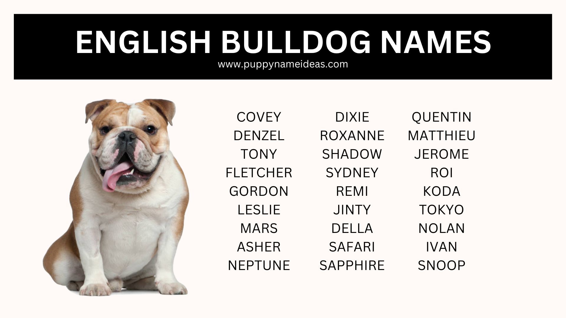 list of english bulldog names