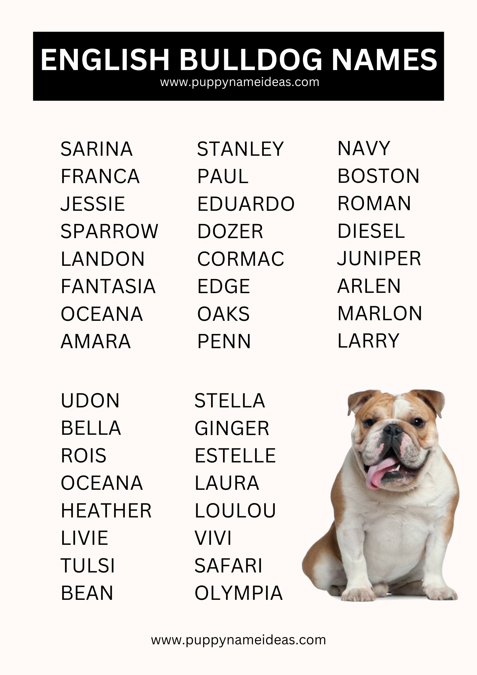 List Of English Bulldog Names