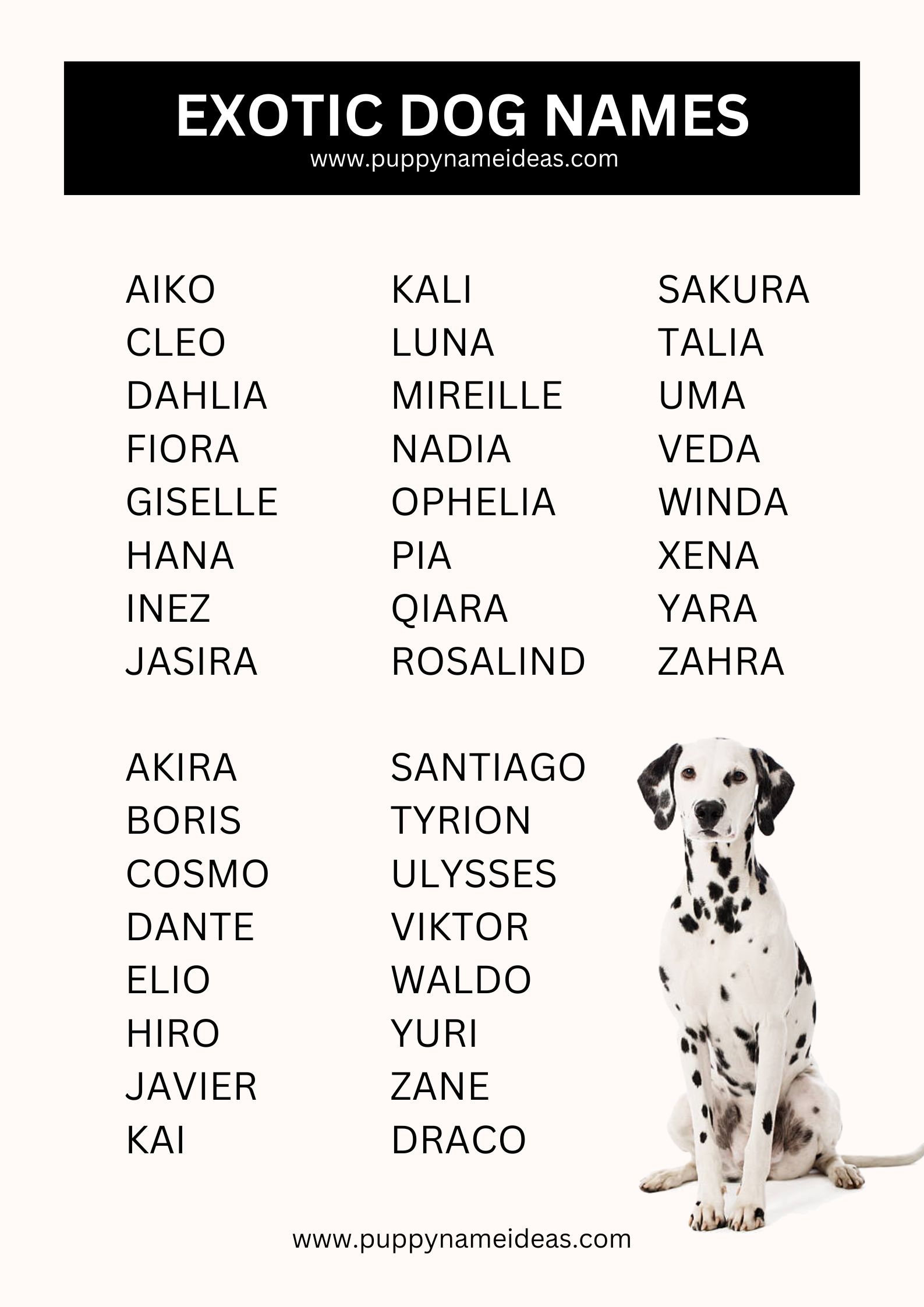 List Of Exotic Dog Names