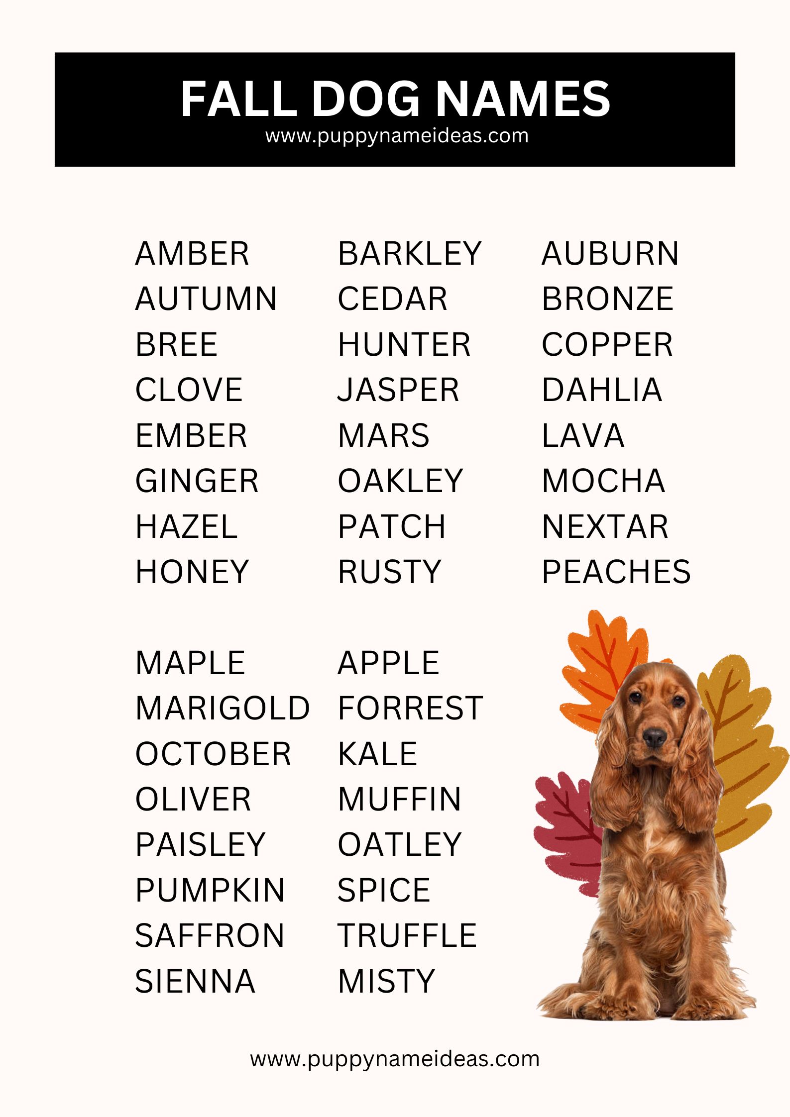 List Of Fall Dog Names
