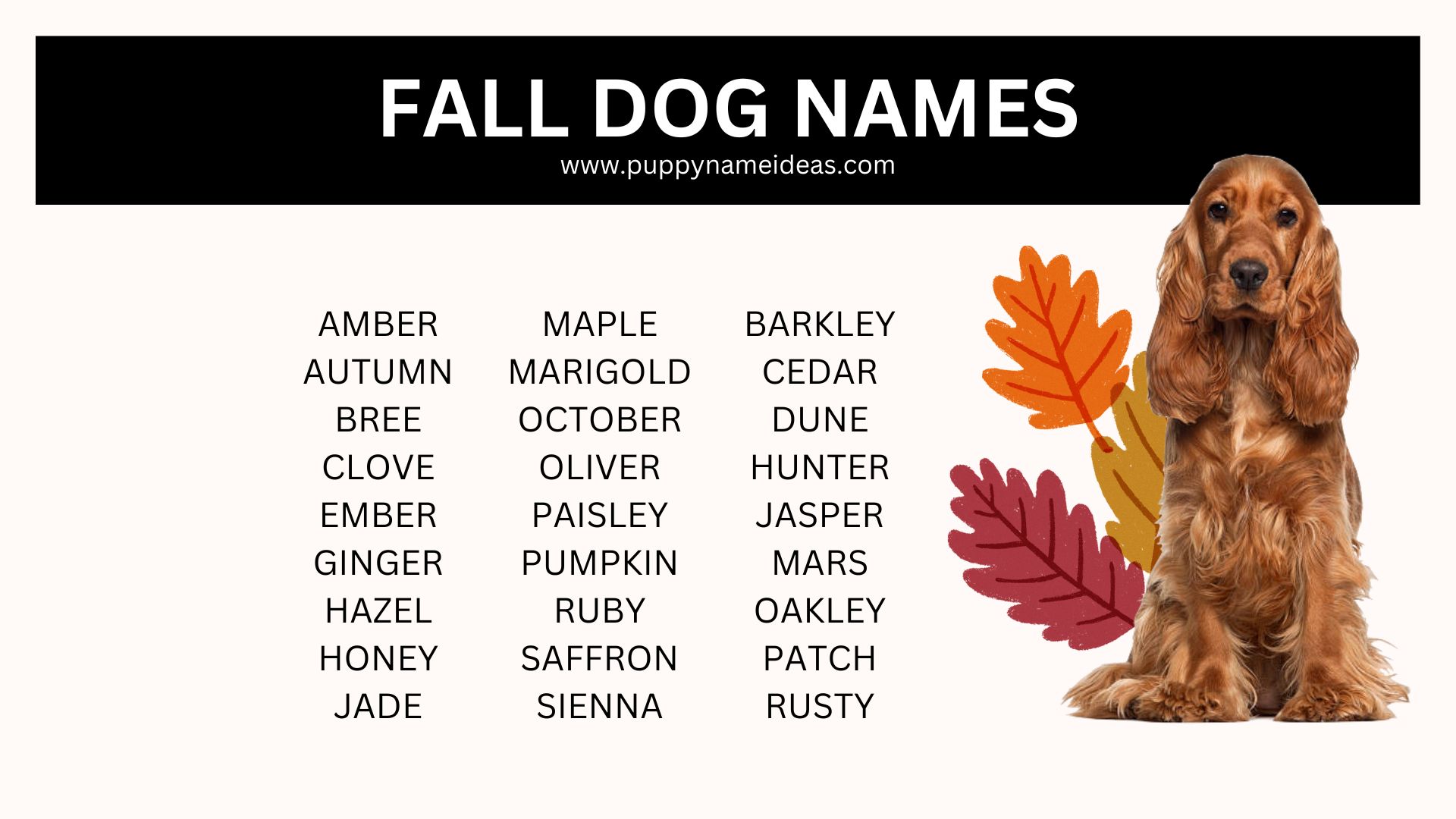 list of fall dog names
