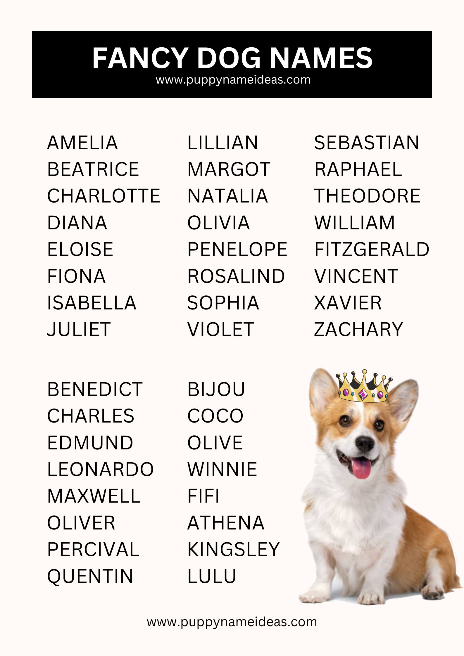 list of fancy dog names