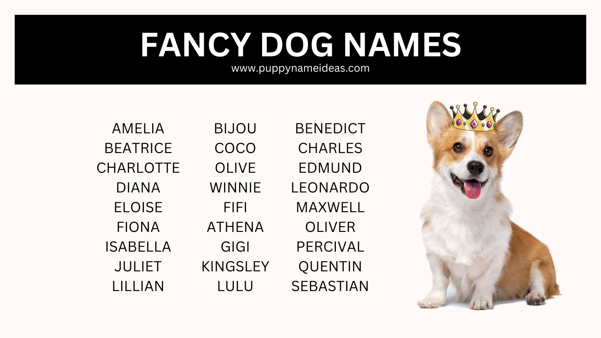 150+ Fancy Dog Names