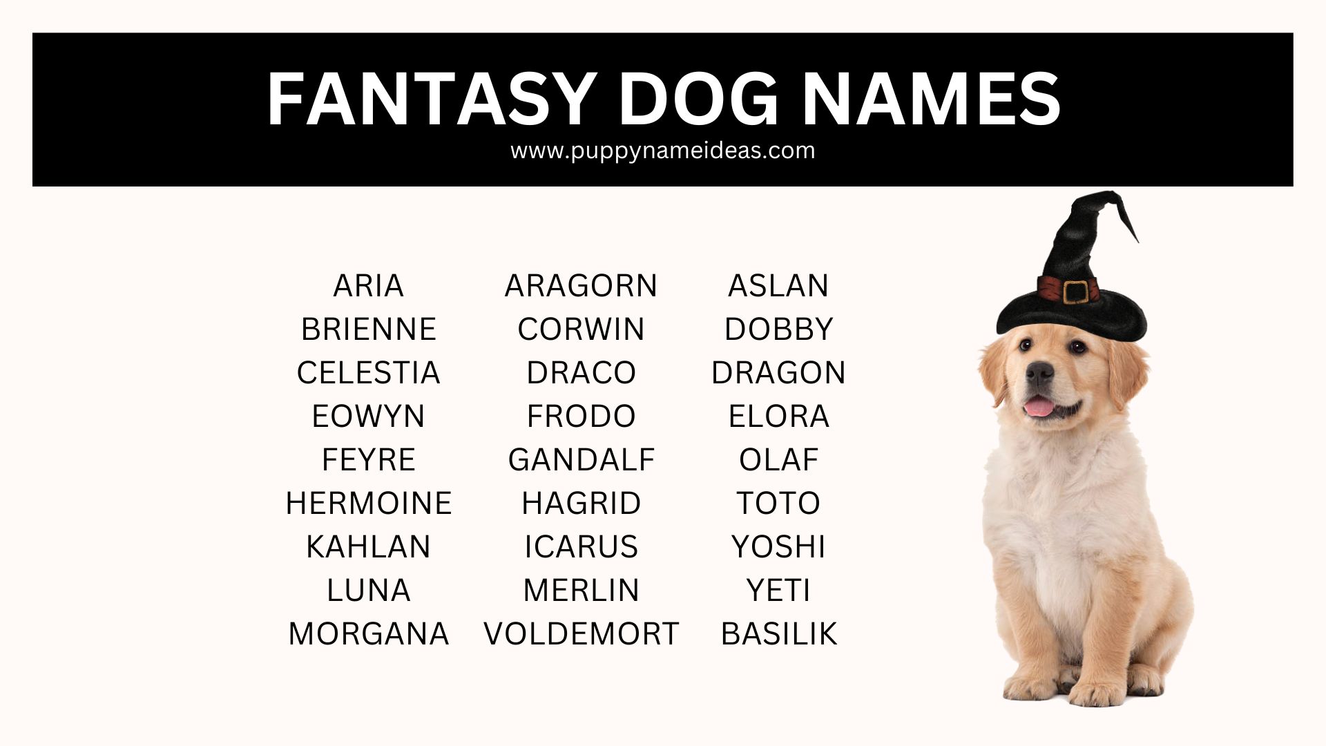 160+ Fantasy Dog Names