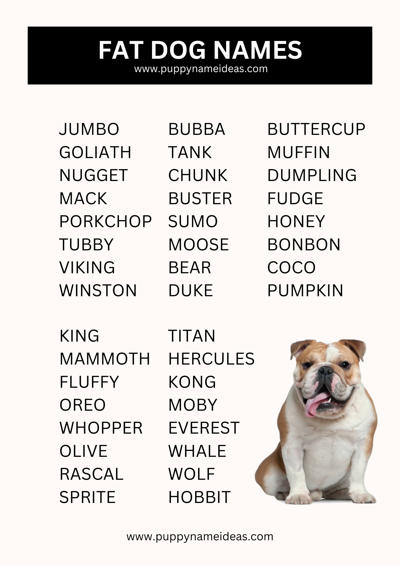 list of fat dog names