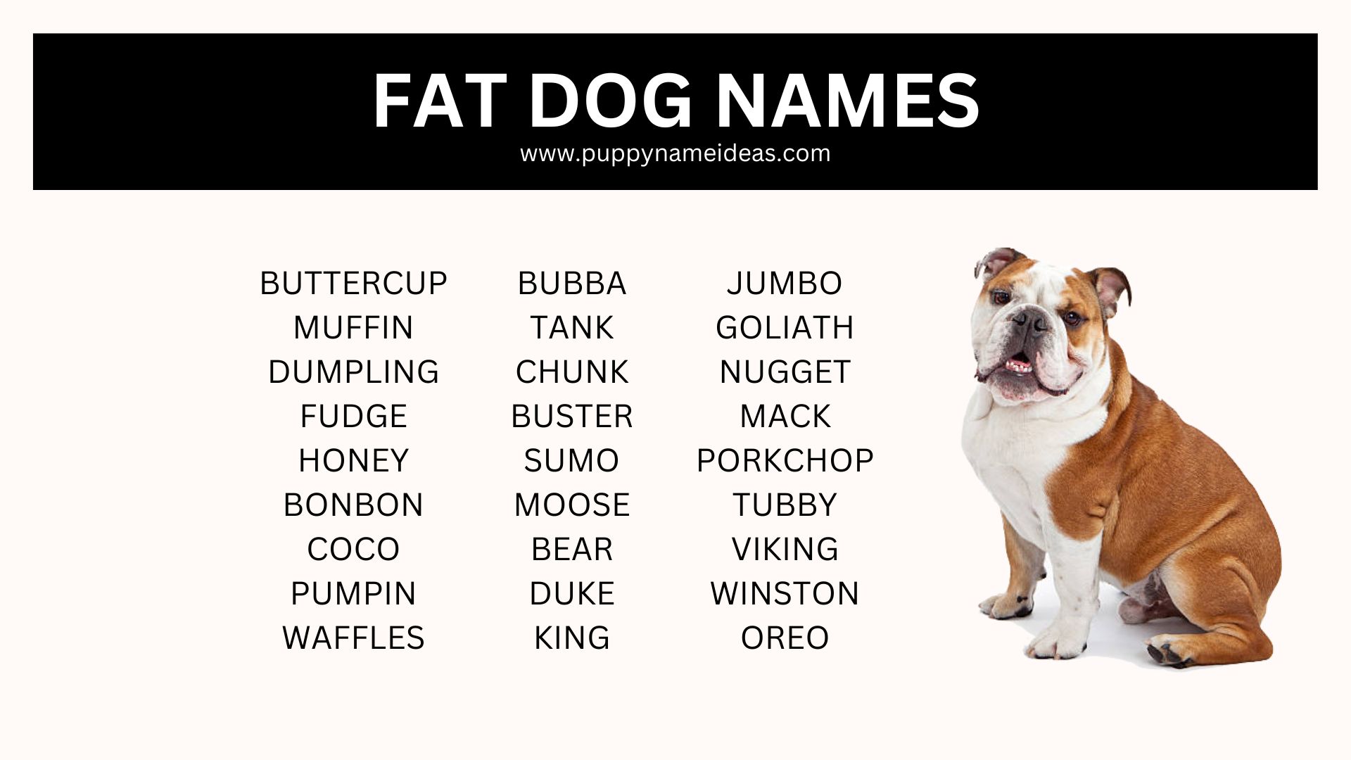 150+ Fat Dog Names