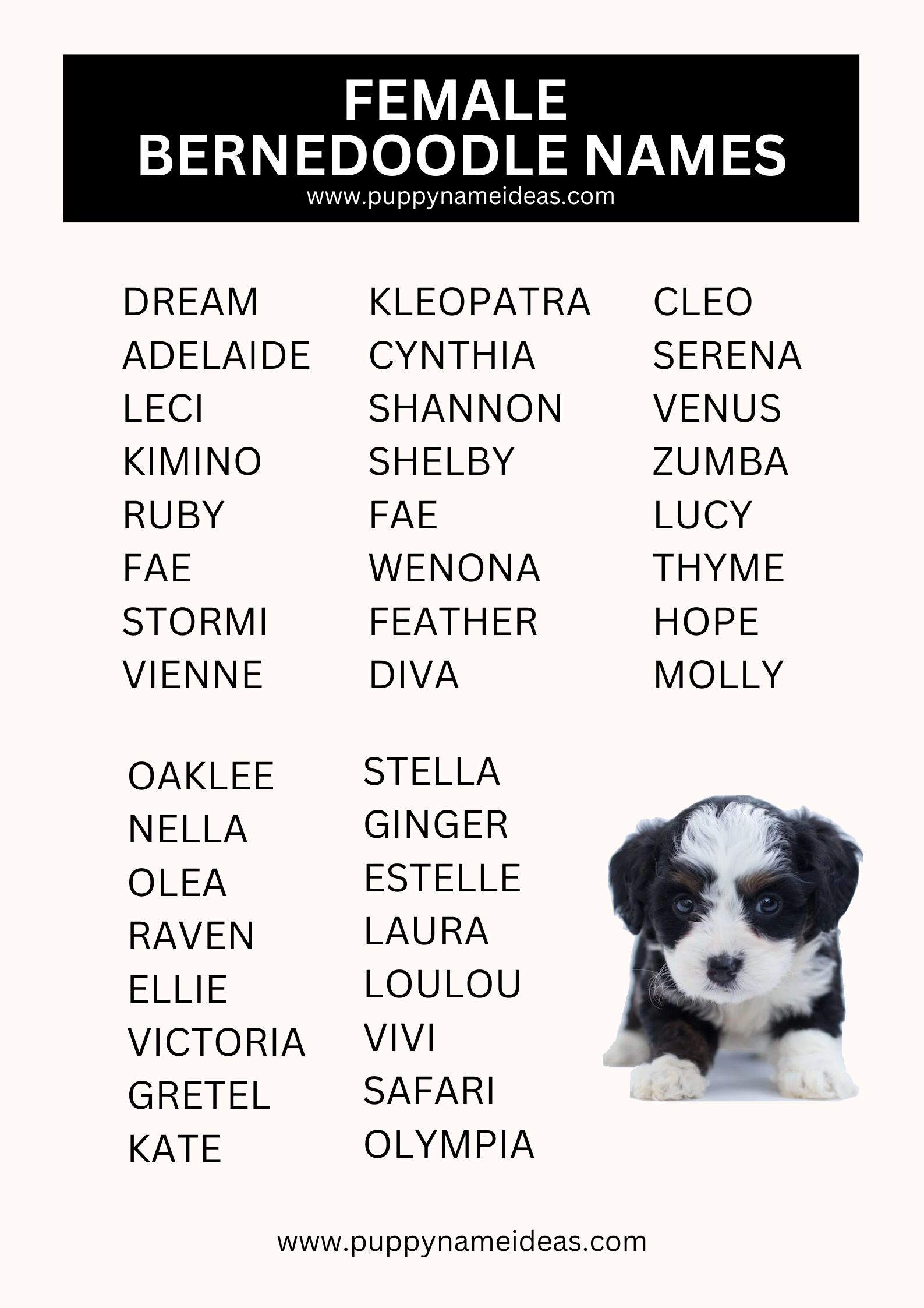 List Of Female Labradoodle Names