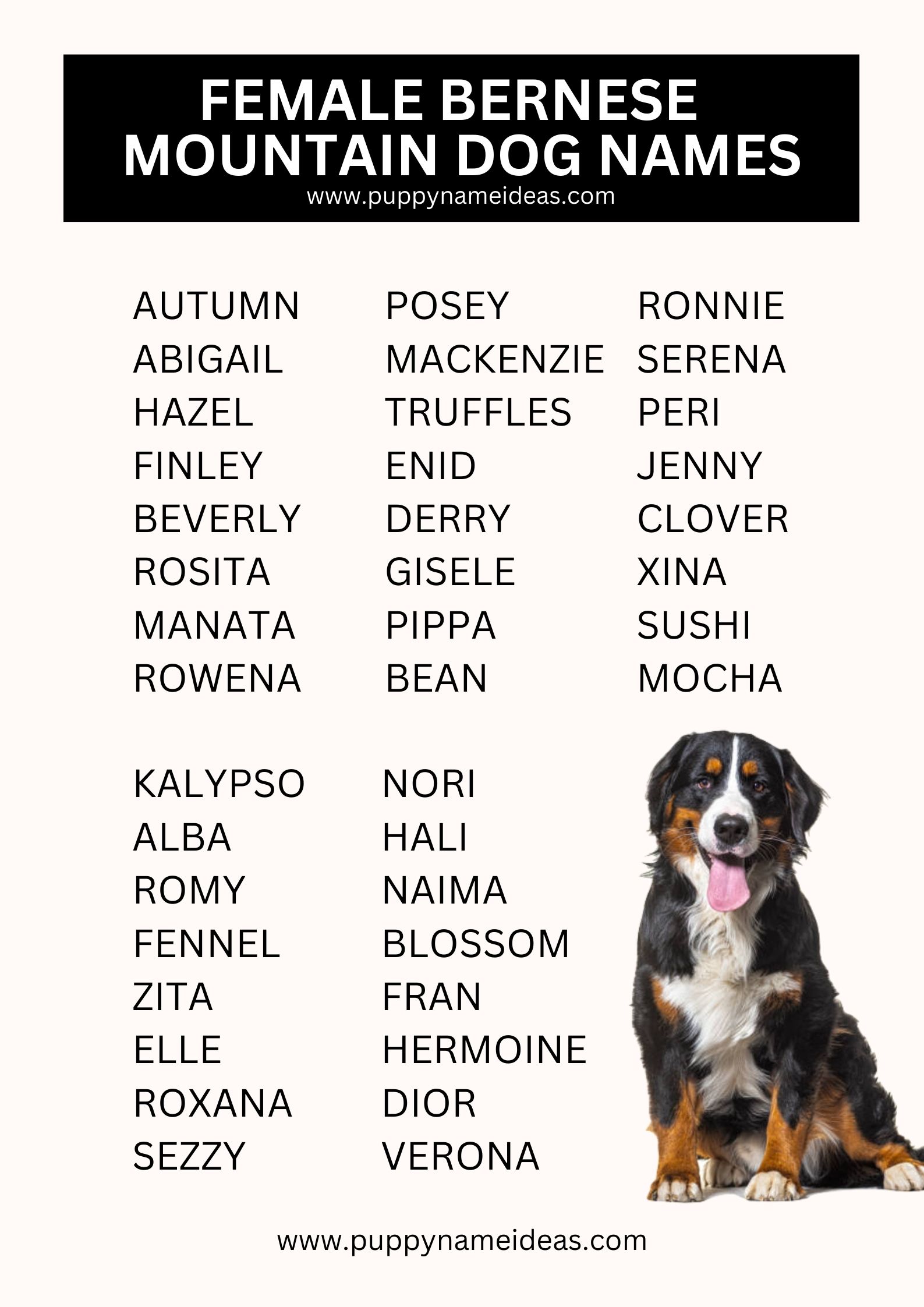 List Of Female Bernese Mountain Dog Names