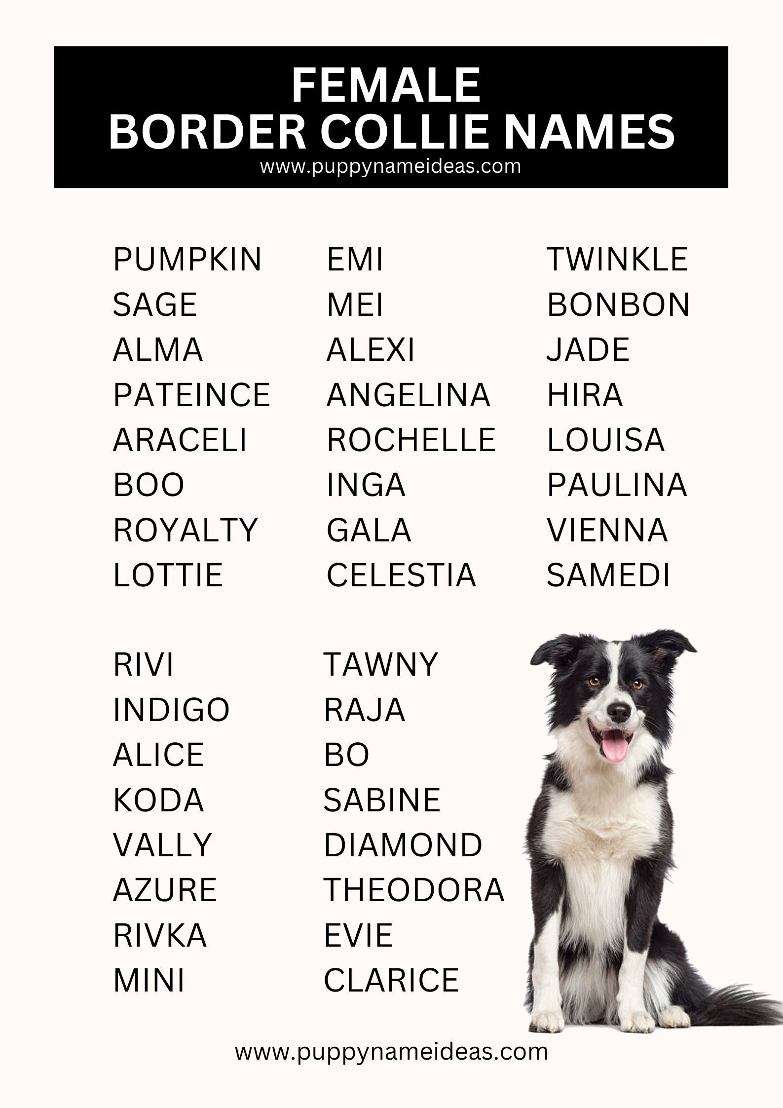 List Of Female Border Collie Names