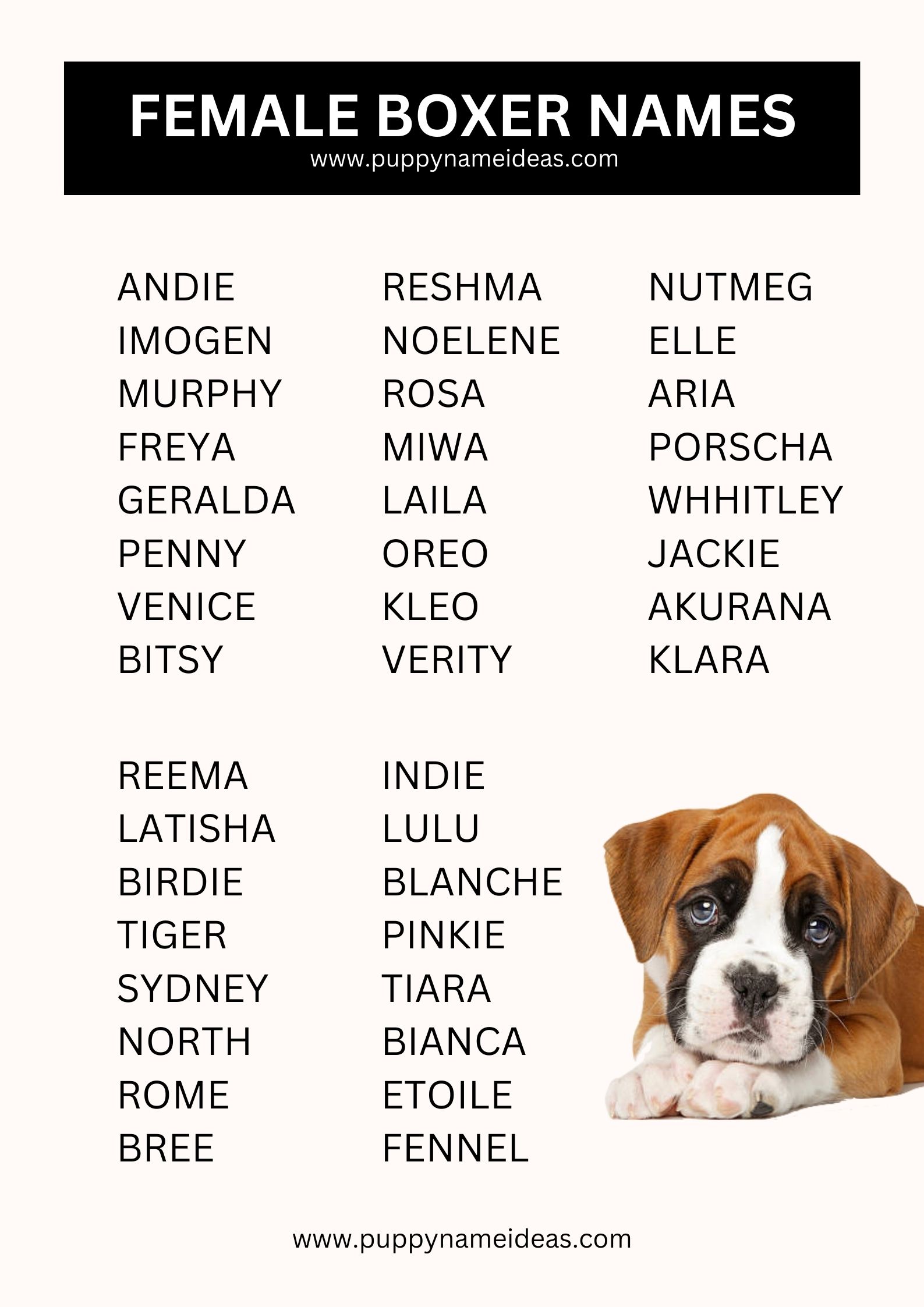 list of female boxer names