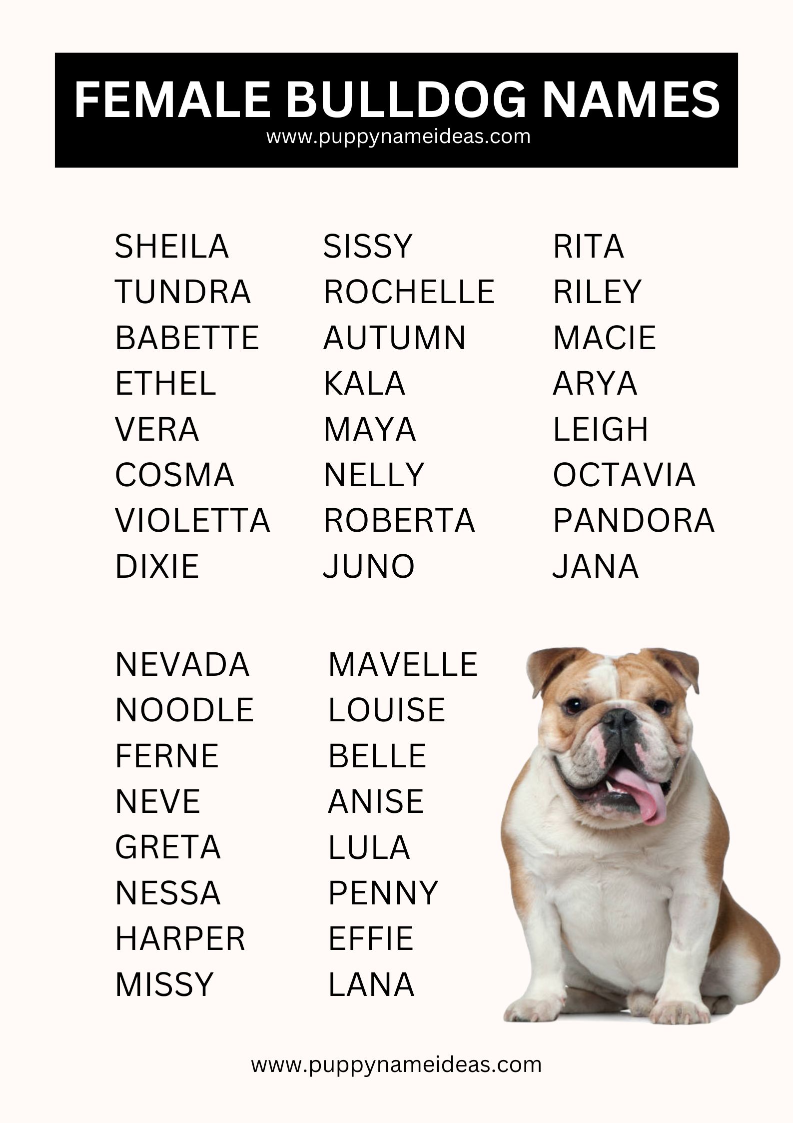 list of female bulldog names