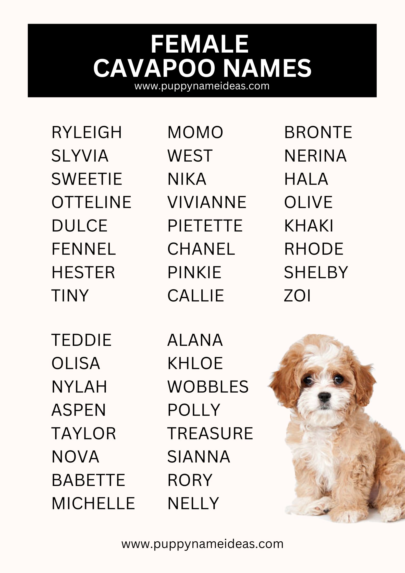 List Of Female Cavapoo Names