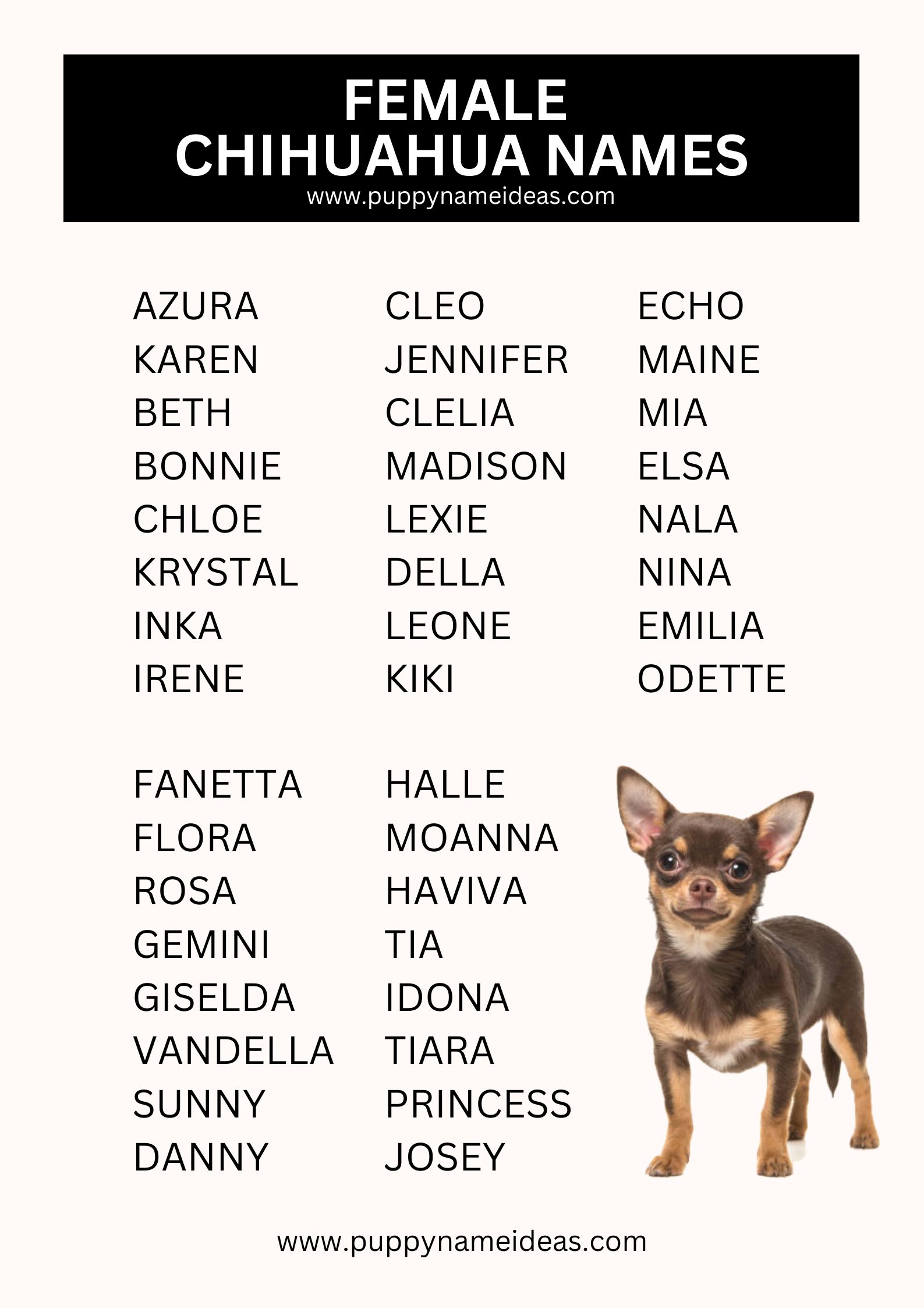 List Of Female Chihuahua Names