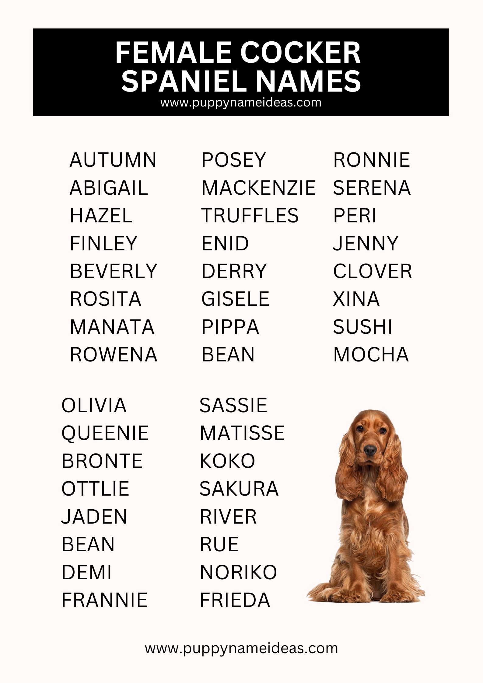 List Of Female Cocker Spaniel Names