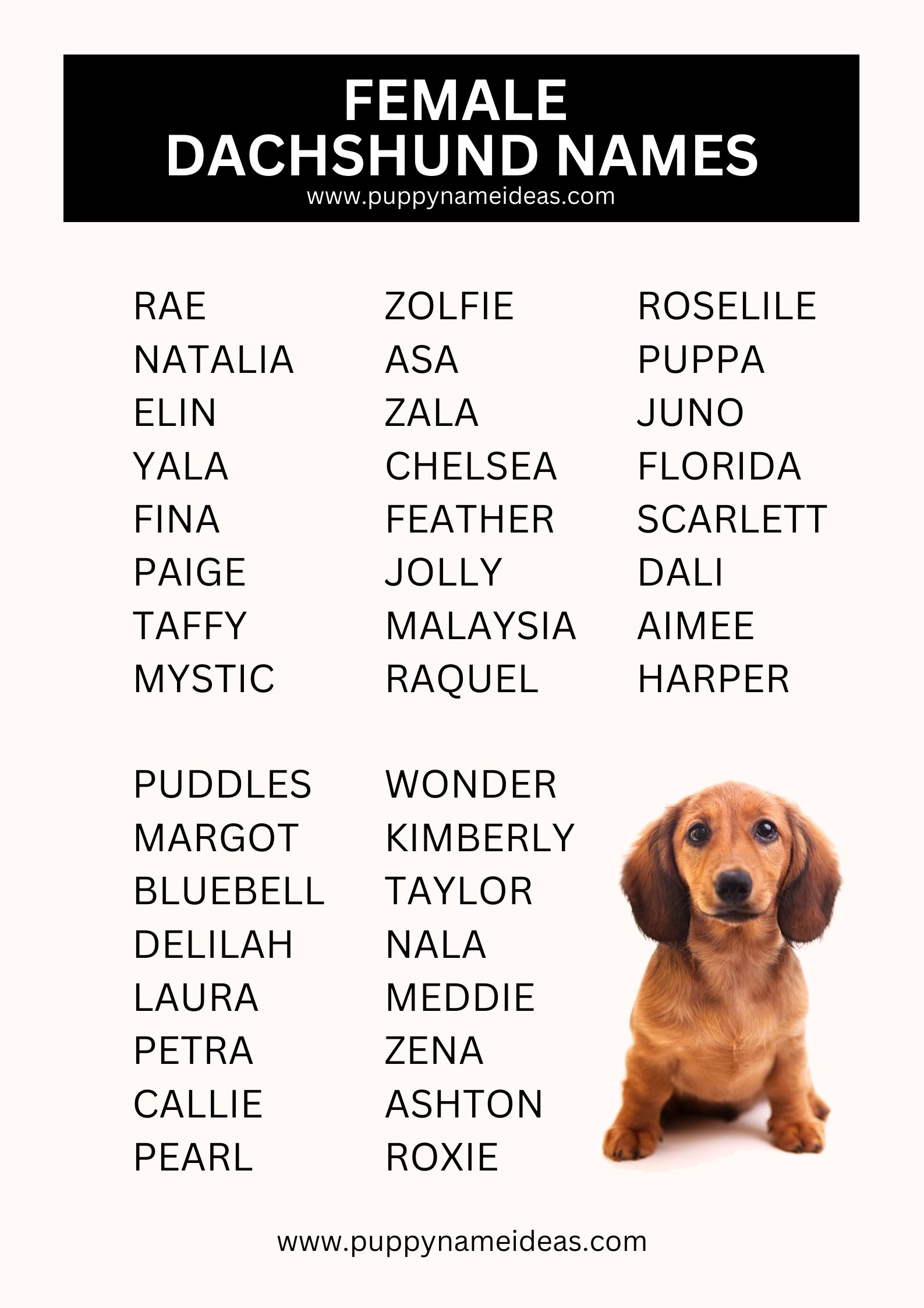 list of female dachshund names