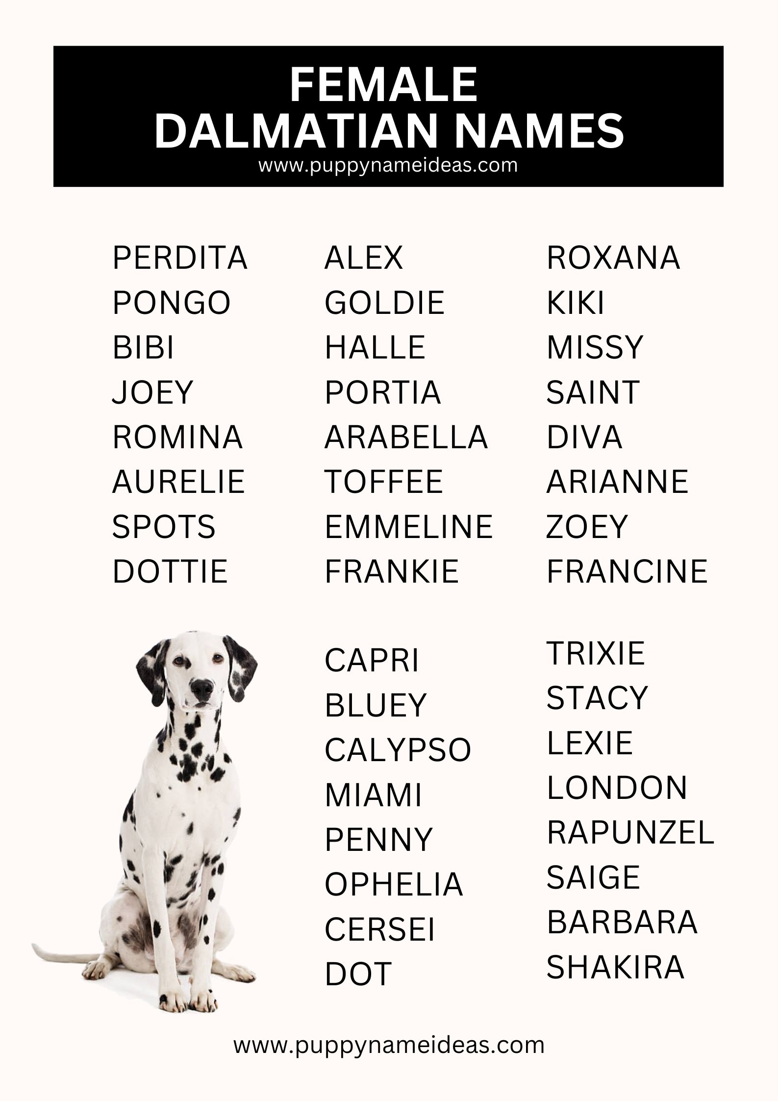 list of female dalmatian names