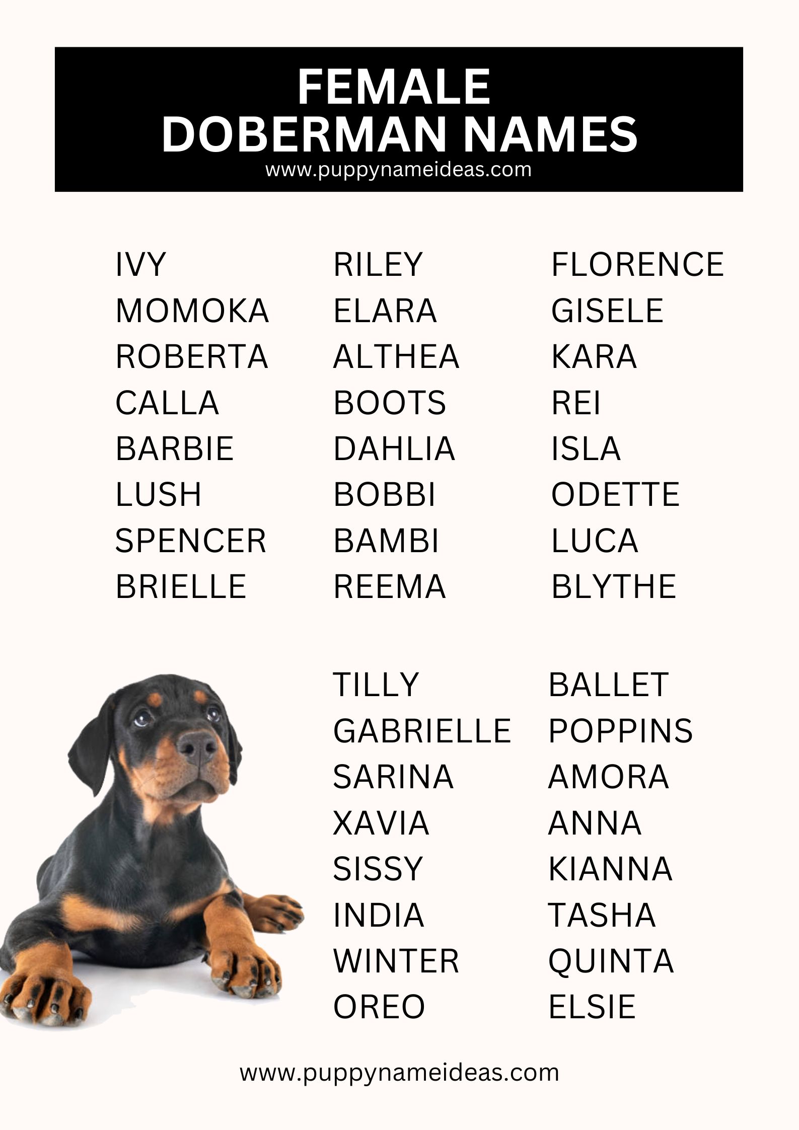 List Of Female Doberman Names