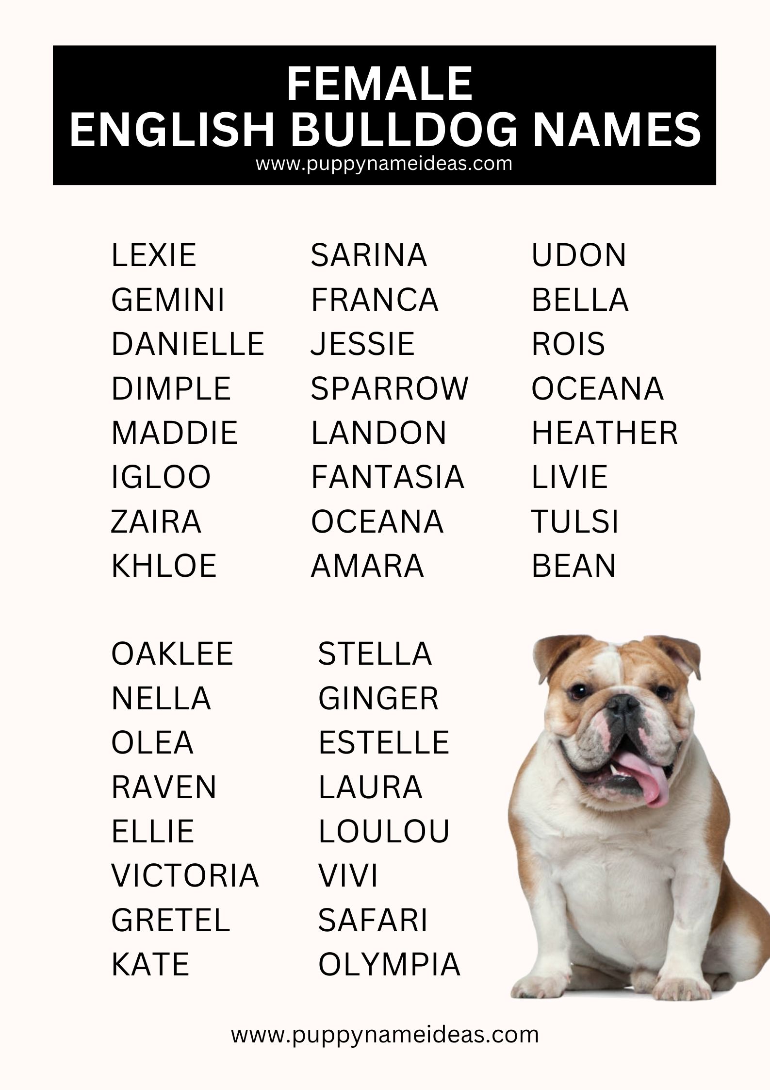 List Of Female English Bulldog Names