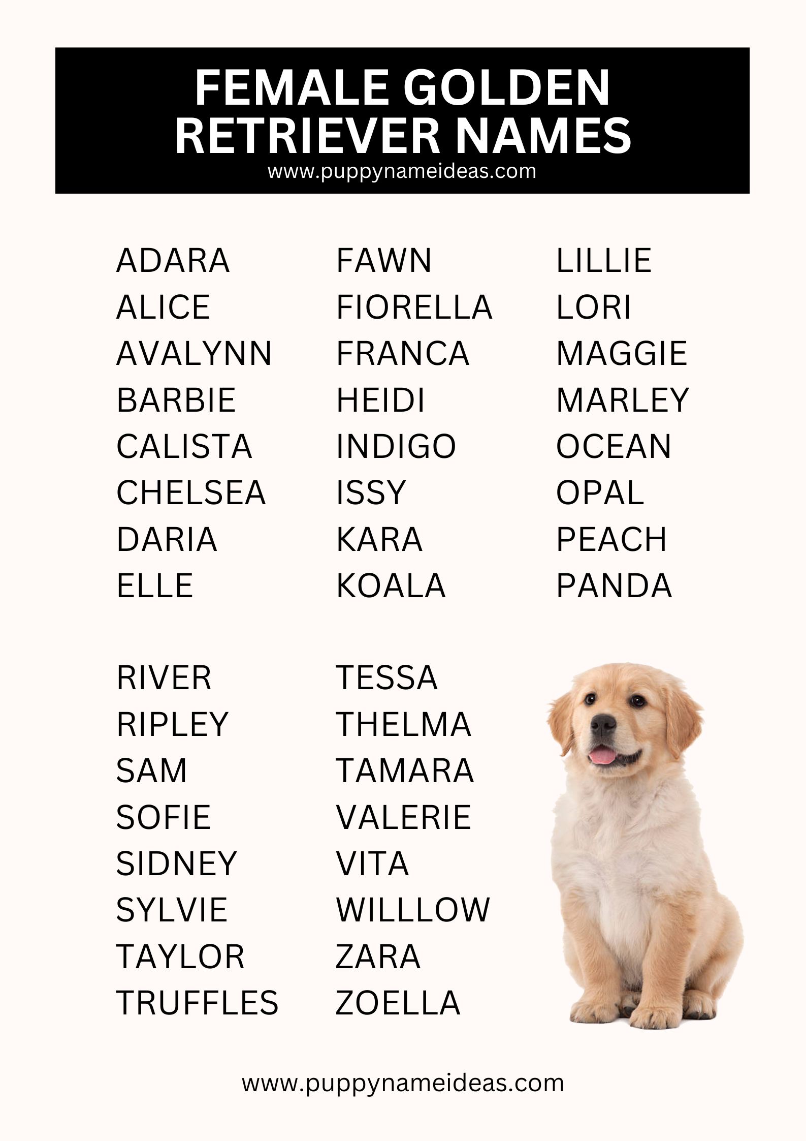 List Of Female Golden Retriever Names