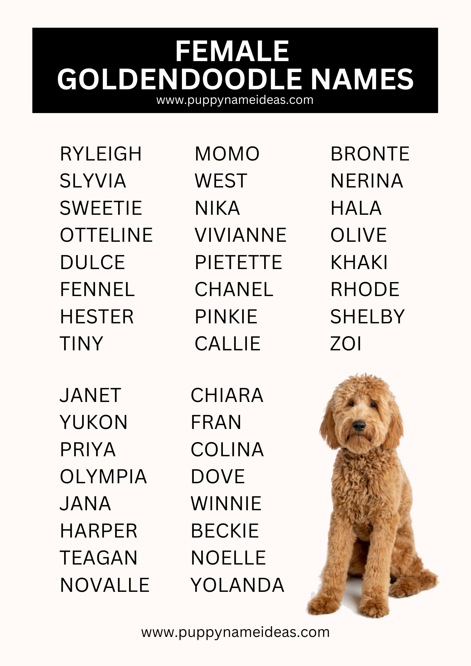 List Of Female Goldendoodle Names