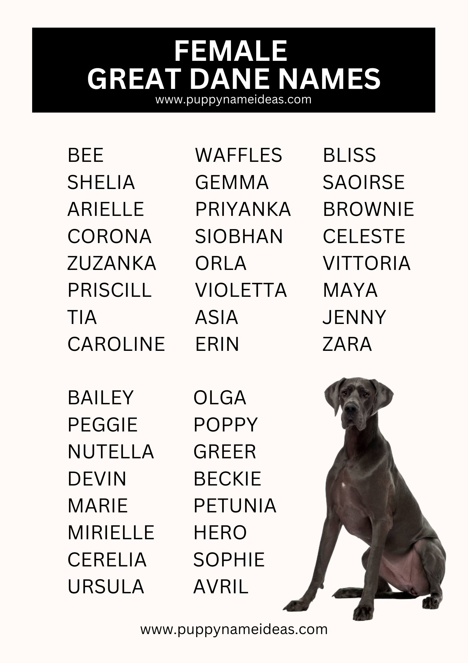 List Of Female Great Dane Names