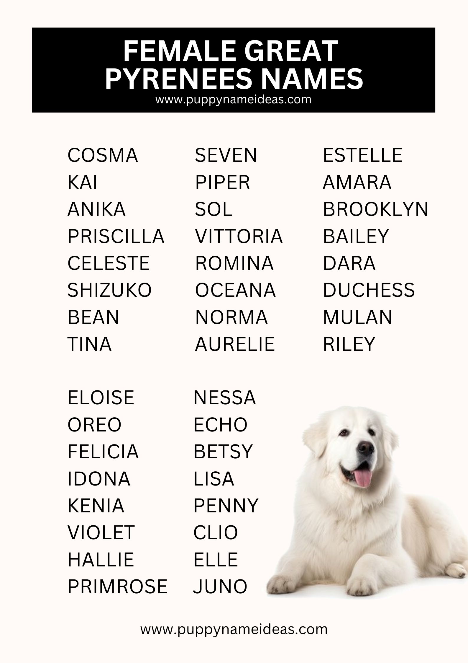 395+ Great Pyrenees Names (With Meanings)