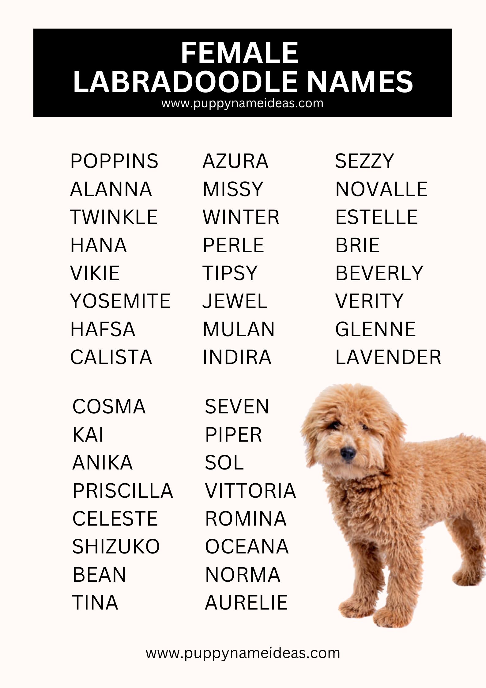 list of female labradoodle names