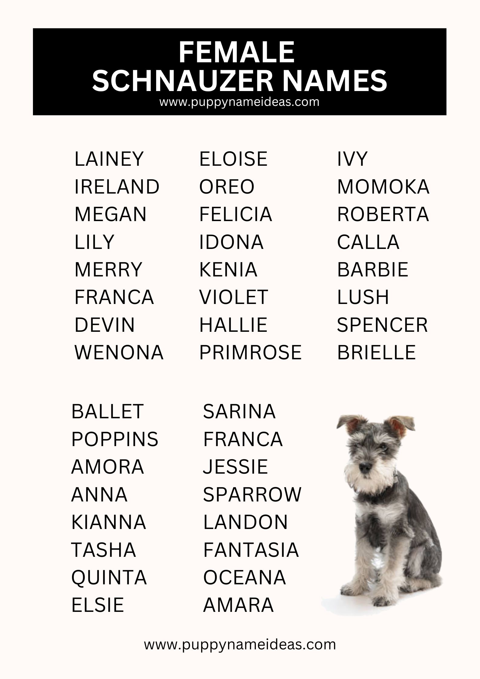 List Of Female Schnauzer Names