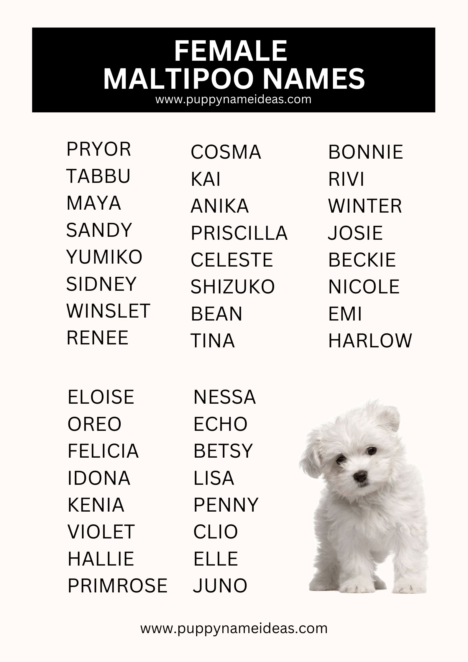 List Of Female Maltipoo Names