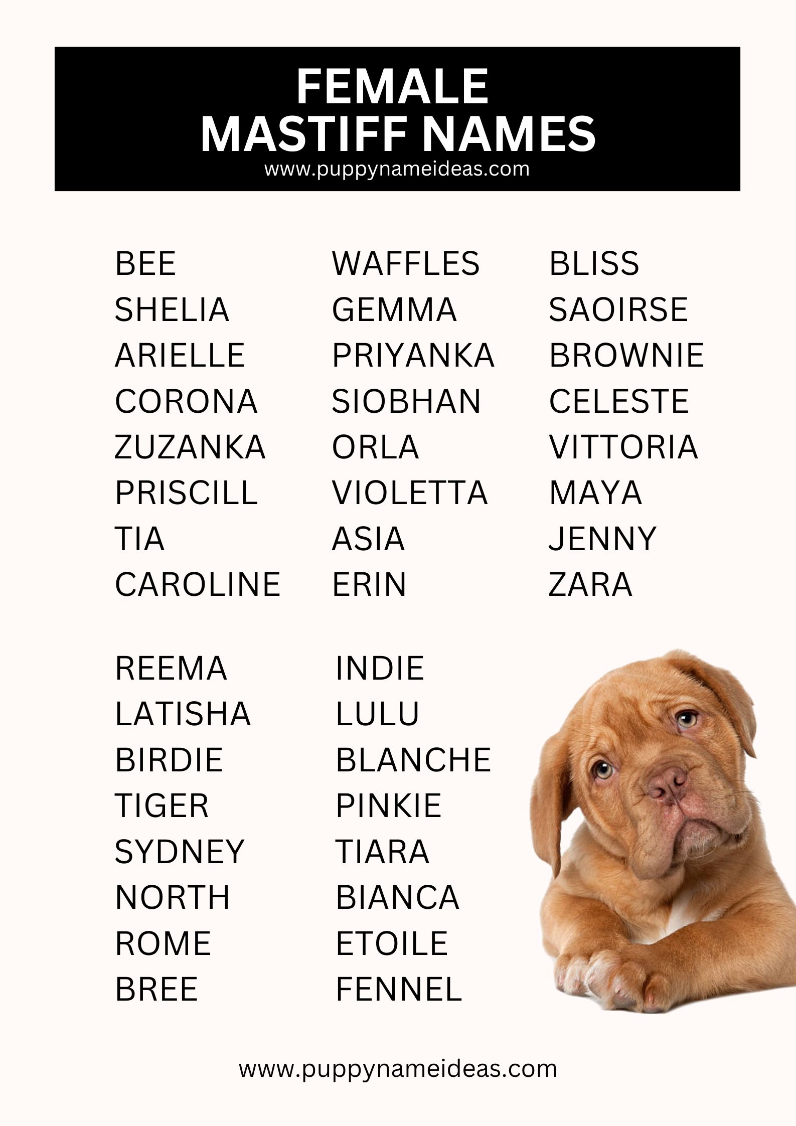 list of female mastiff names