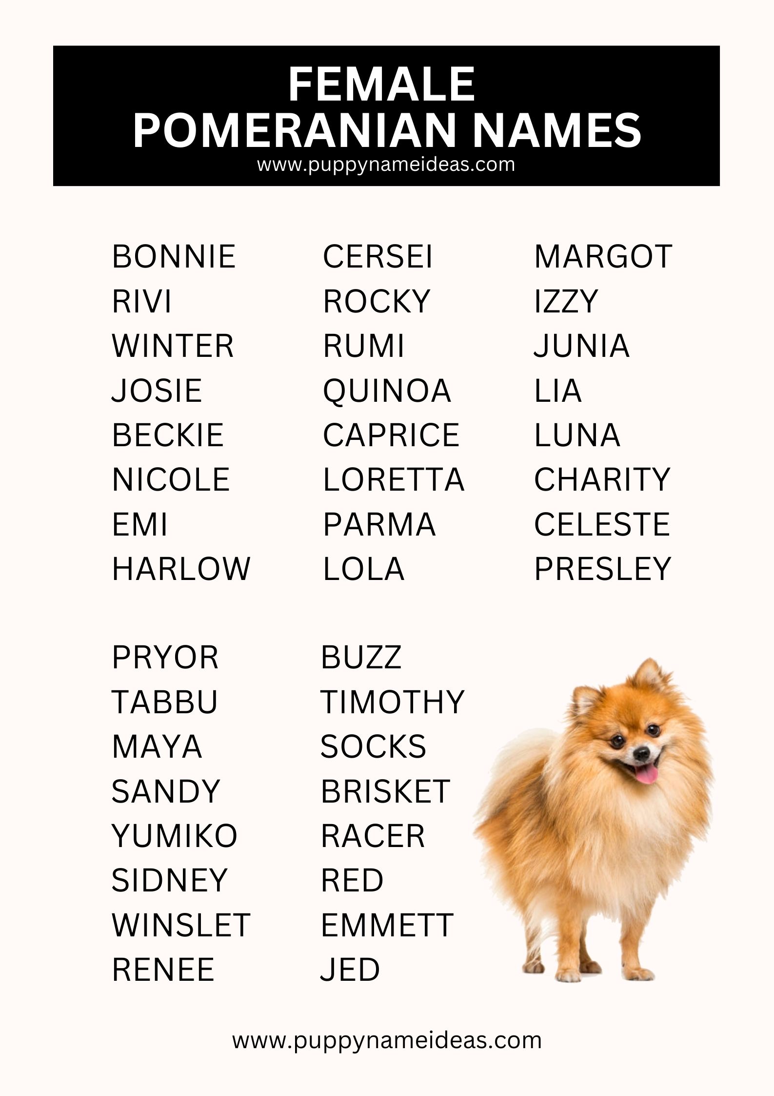 list of female pomeranian names