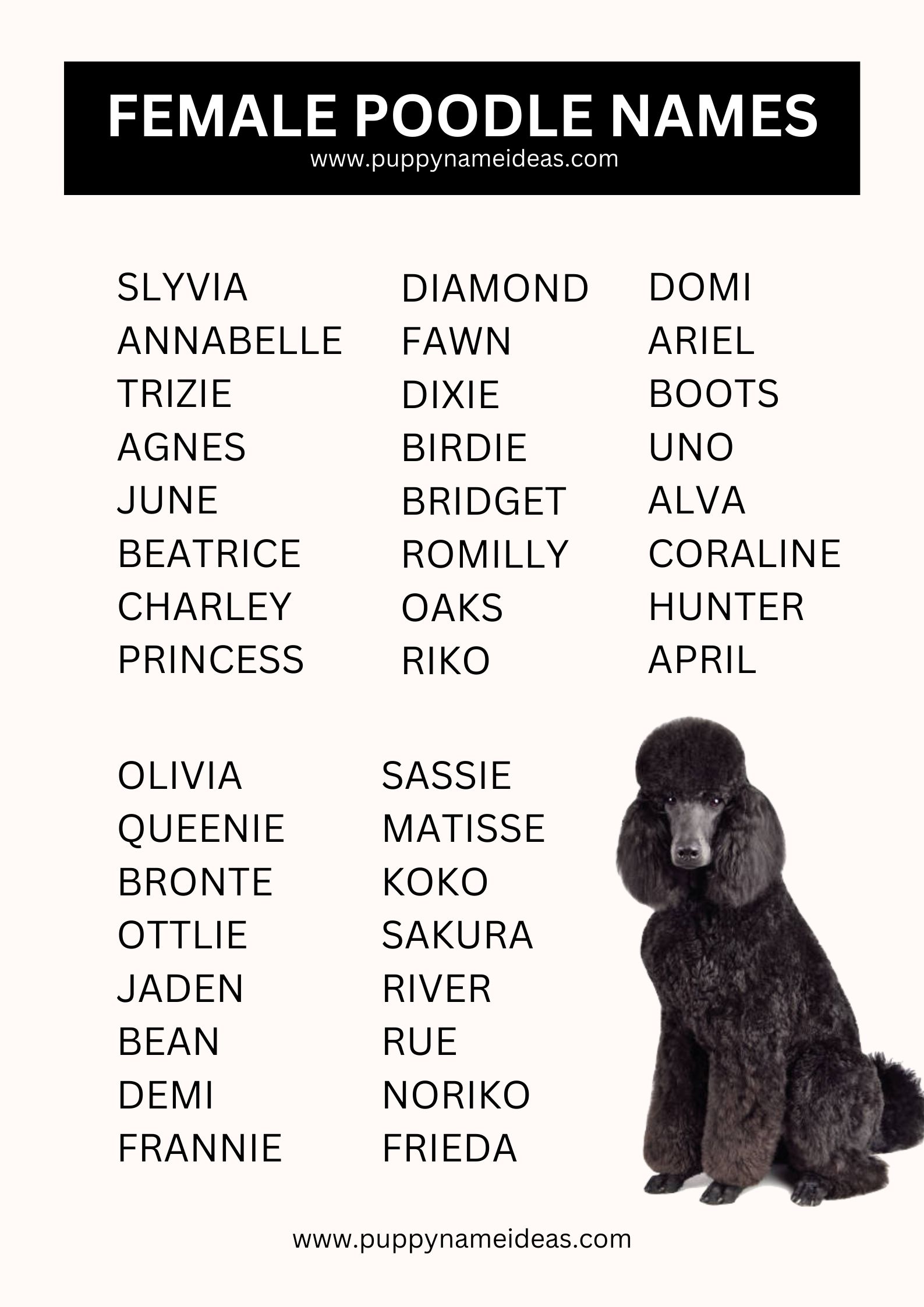 List Of Female Poodle Names