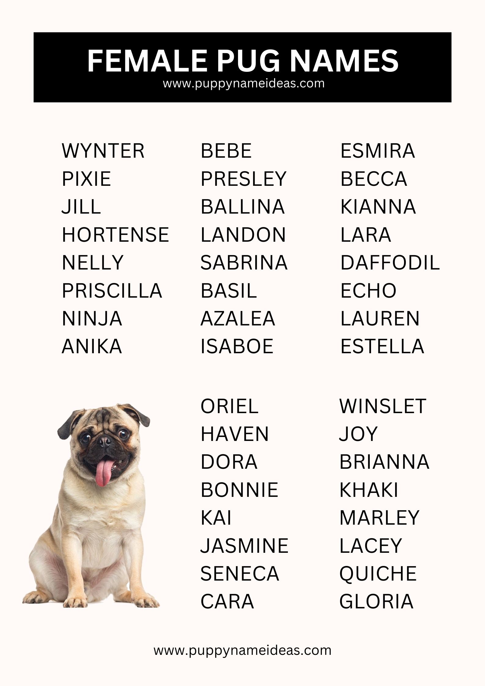 list of female pug names