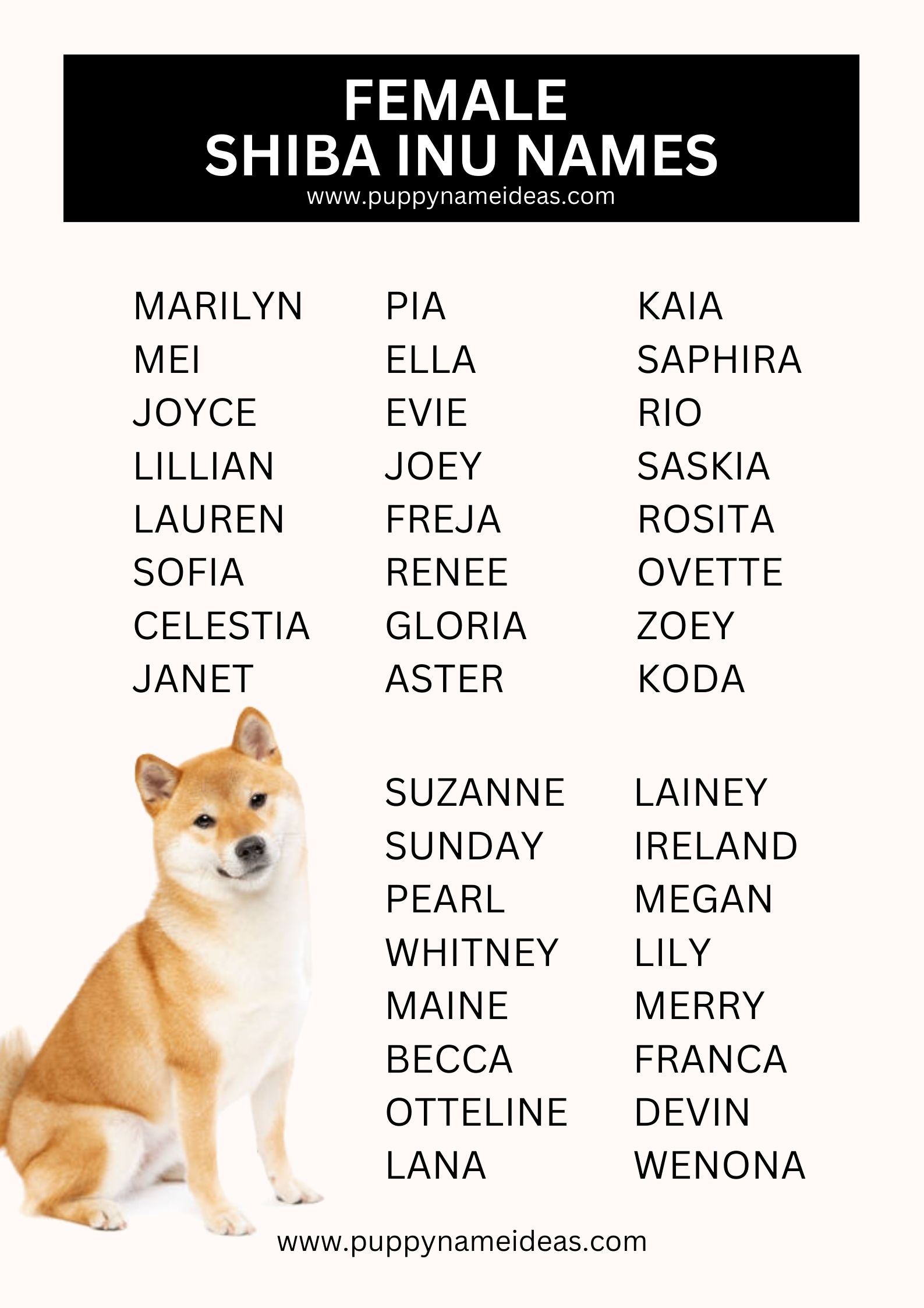 list of female shiba inu names