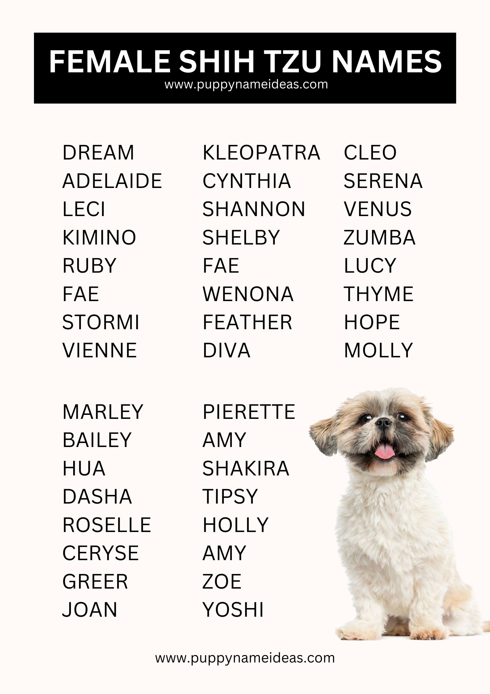 List Of Female Shih Tzu Names