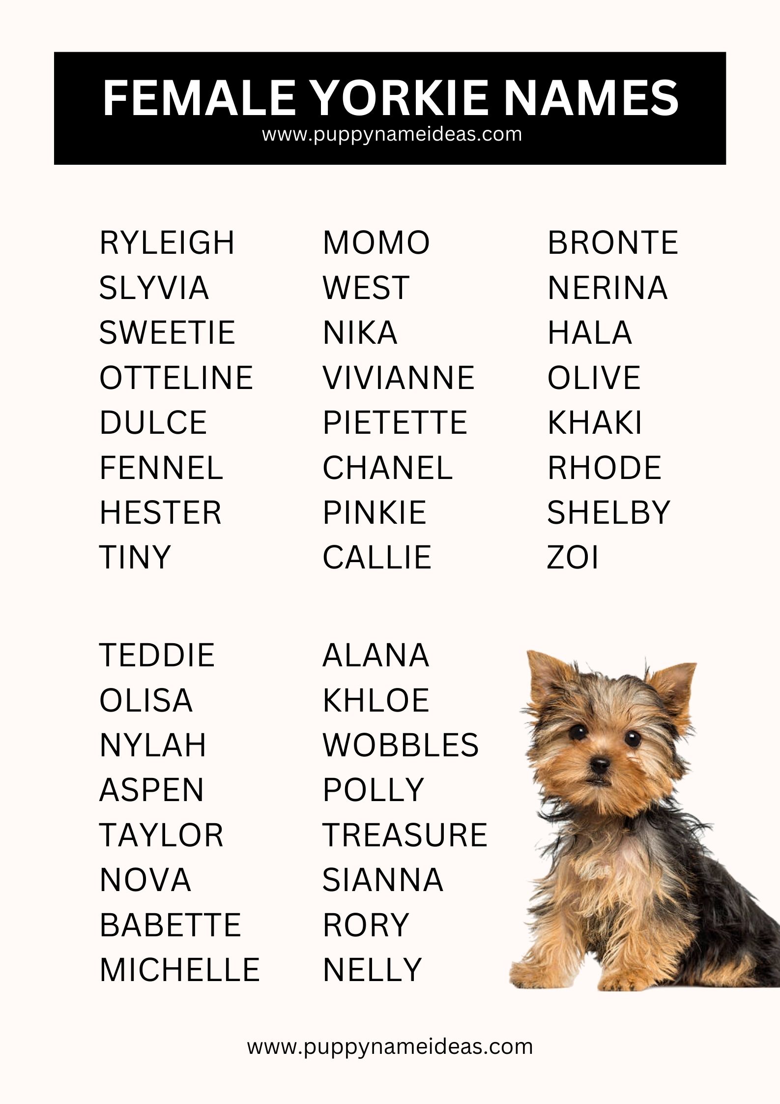 List Of Female Yorkie Names