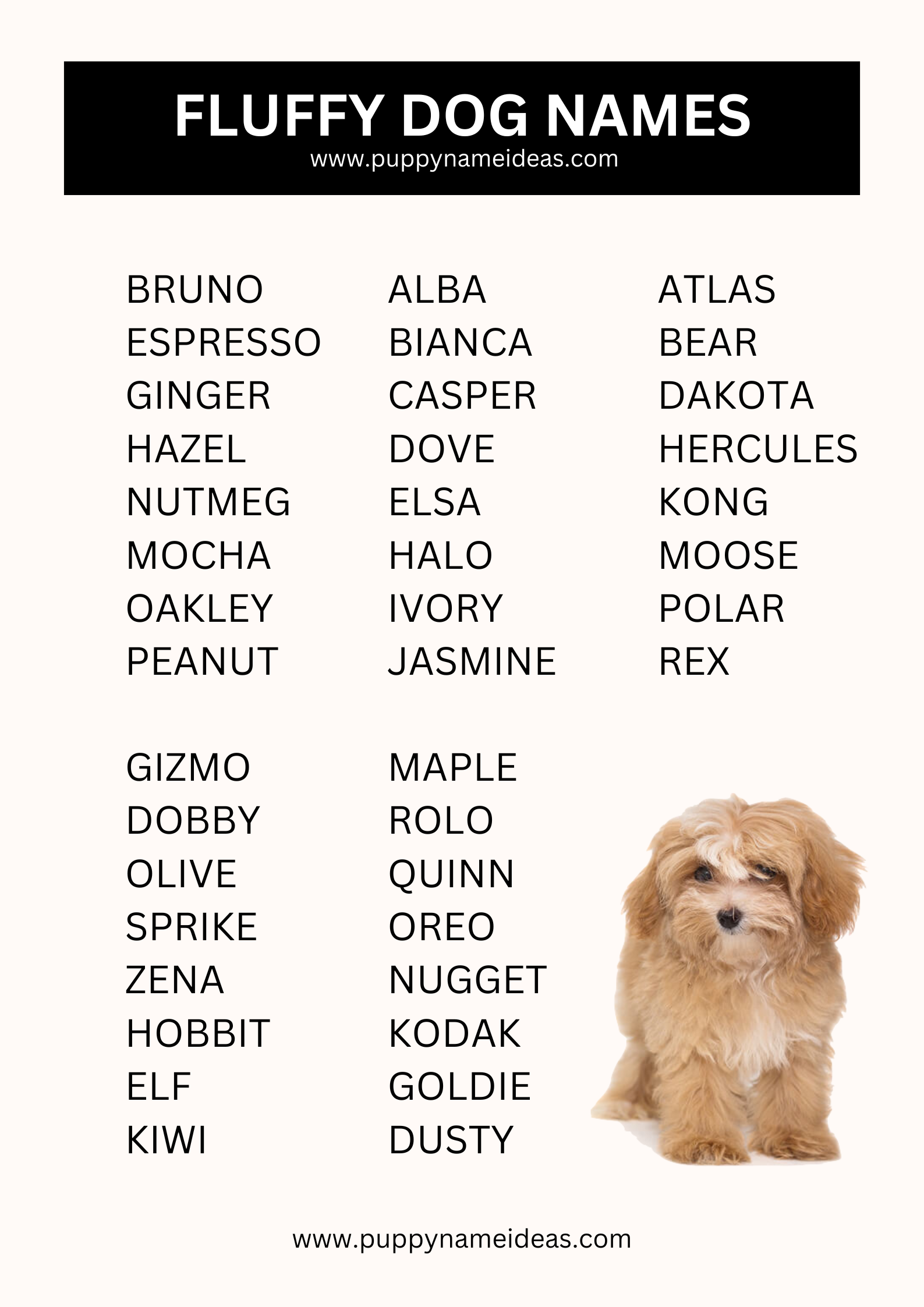 list of fluffy dog names