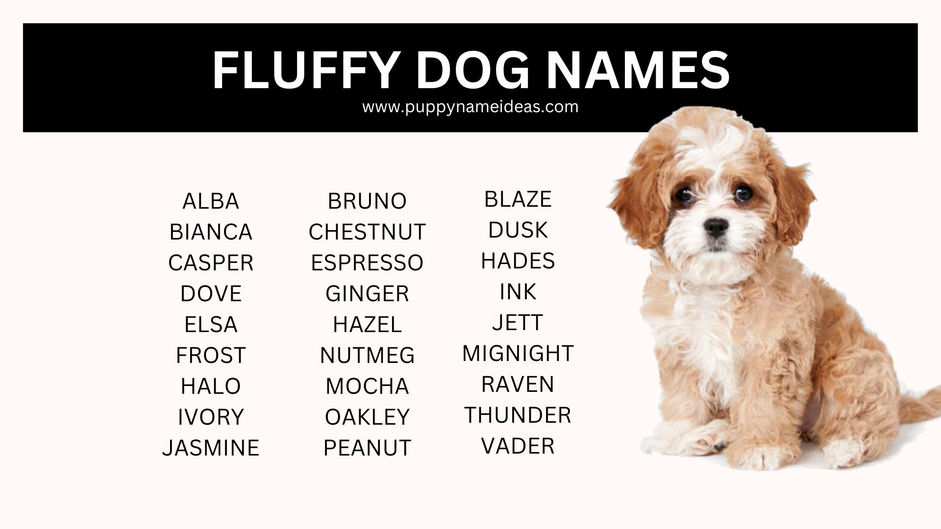 200+ Fluffy Dog Names