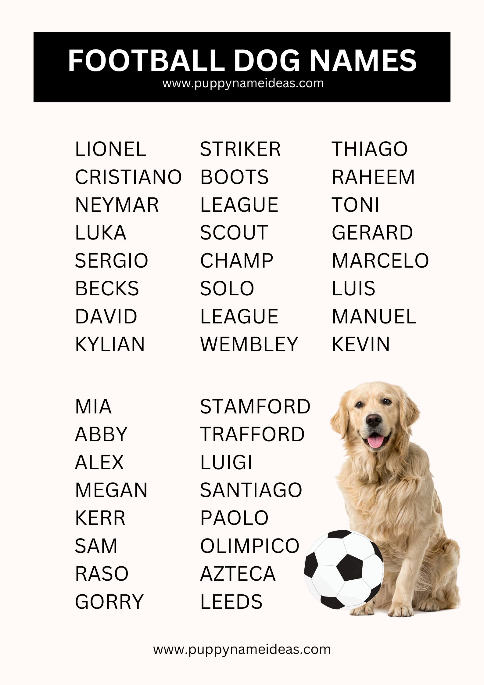 List Of Football Dog Names