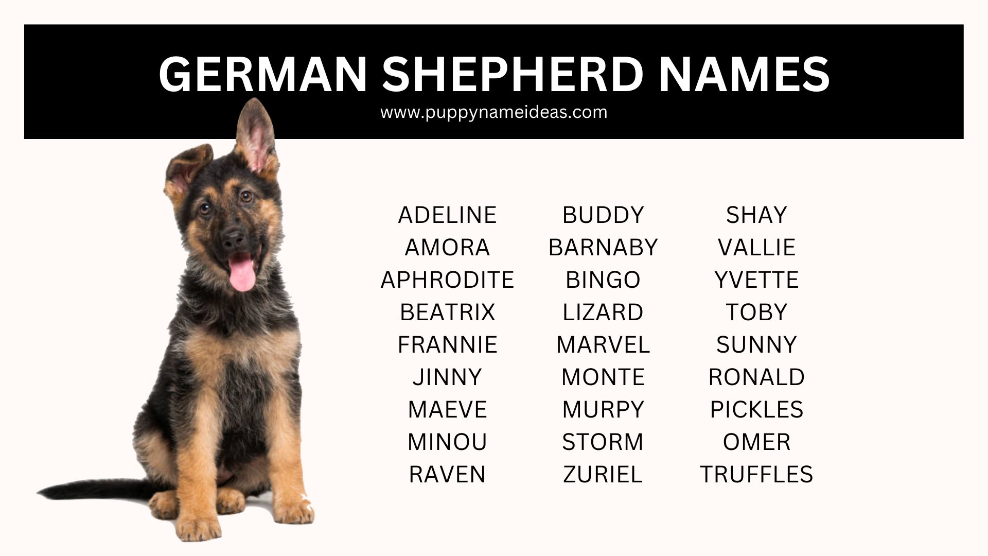 list of german shepherd names