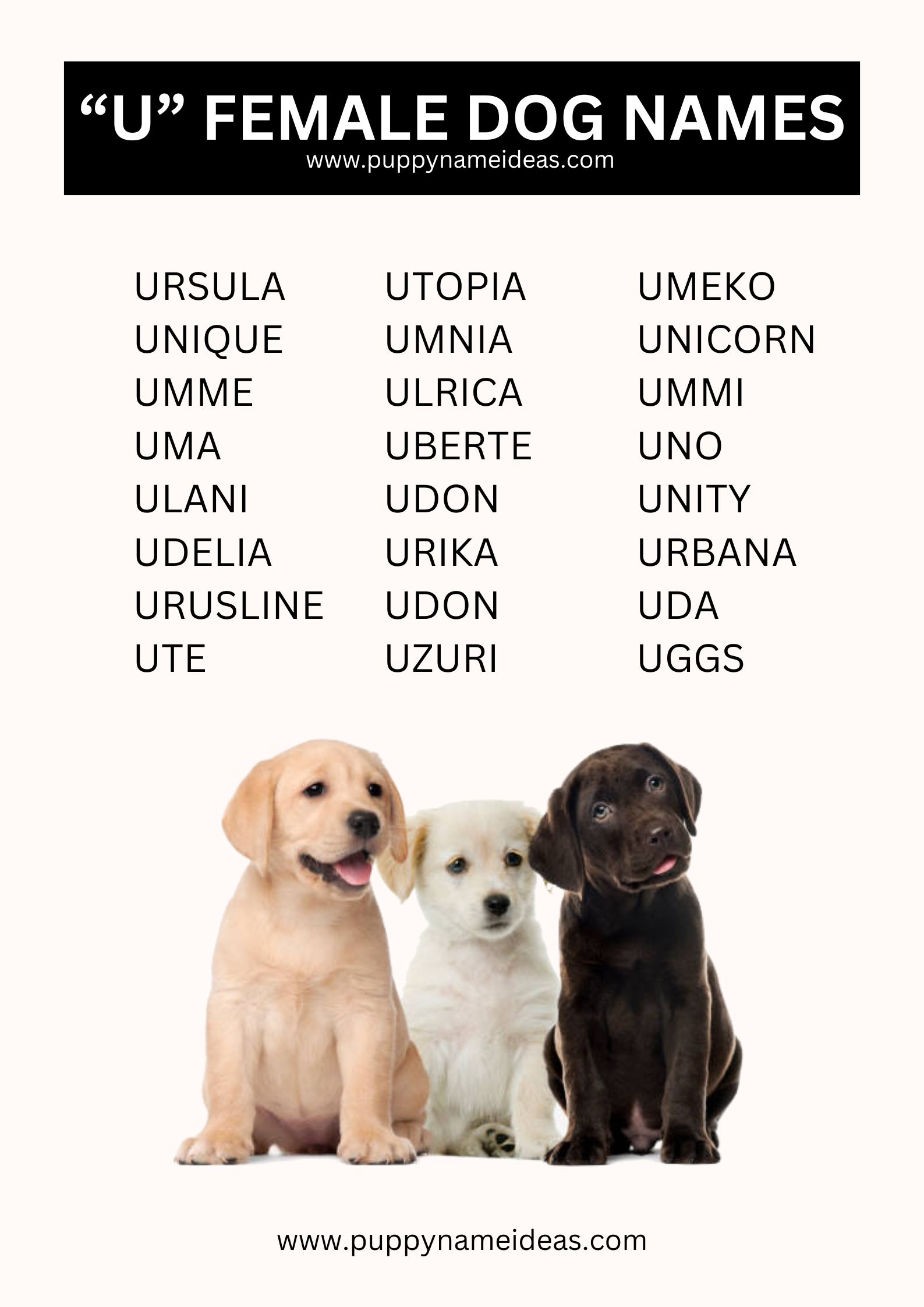 list of girl dog names that start with U