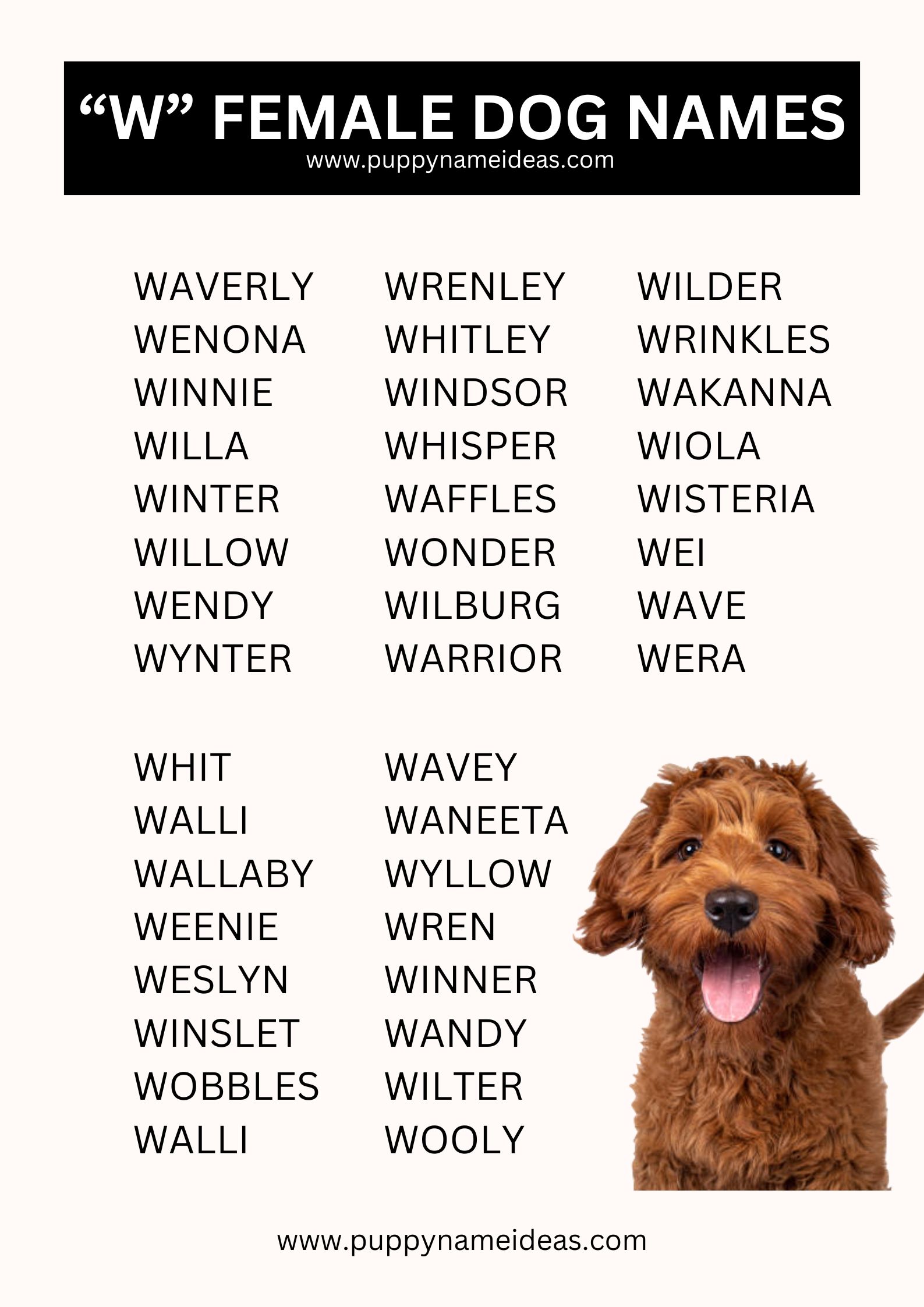 List Of Girl Dog Names That Start With W