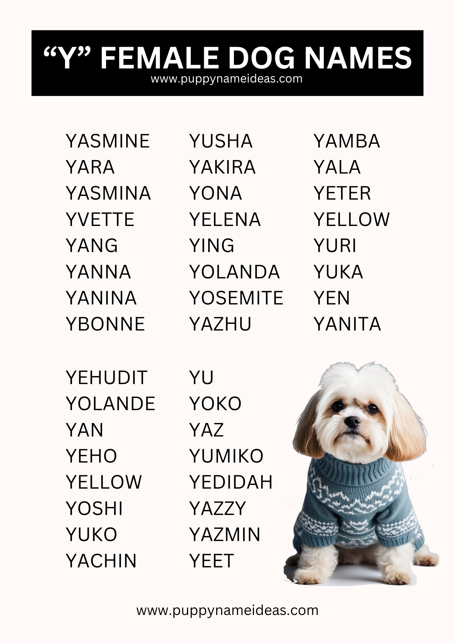 List Of Girl Dog Names That Start With Y