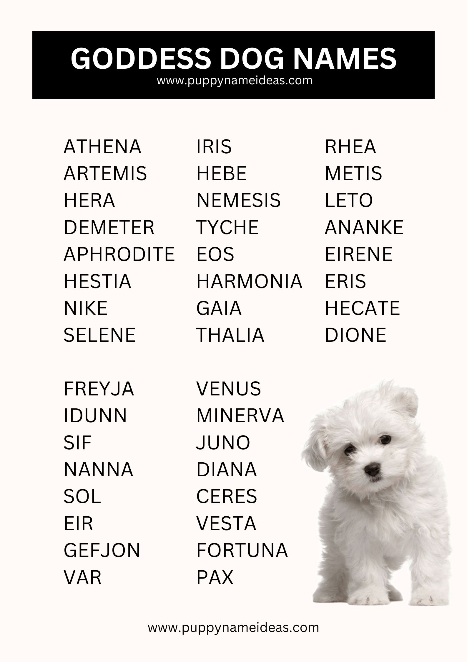 list of goddess dog names