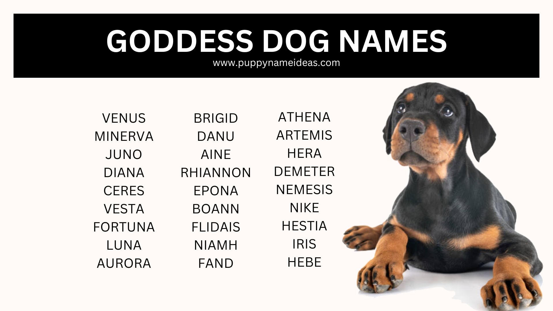 150+ Goddess Dog Names