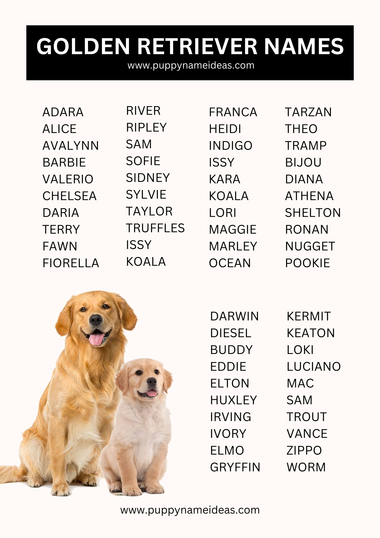 List Of Golden Retriever Names