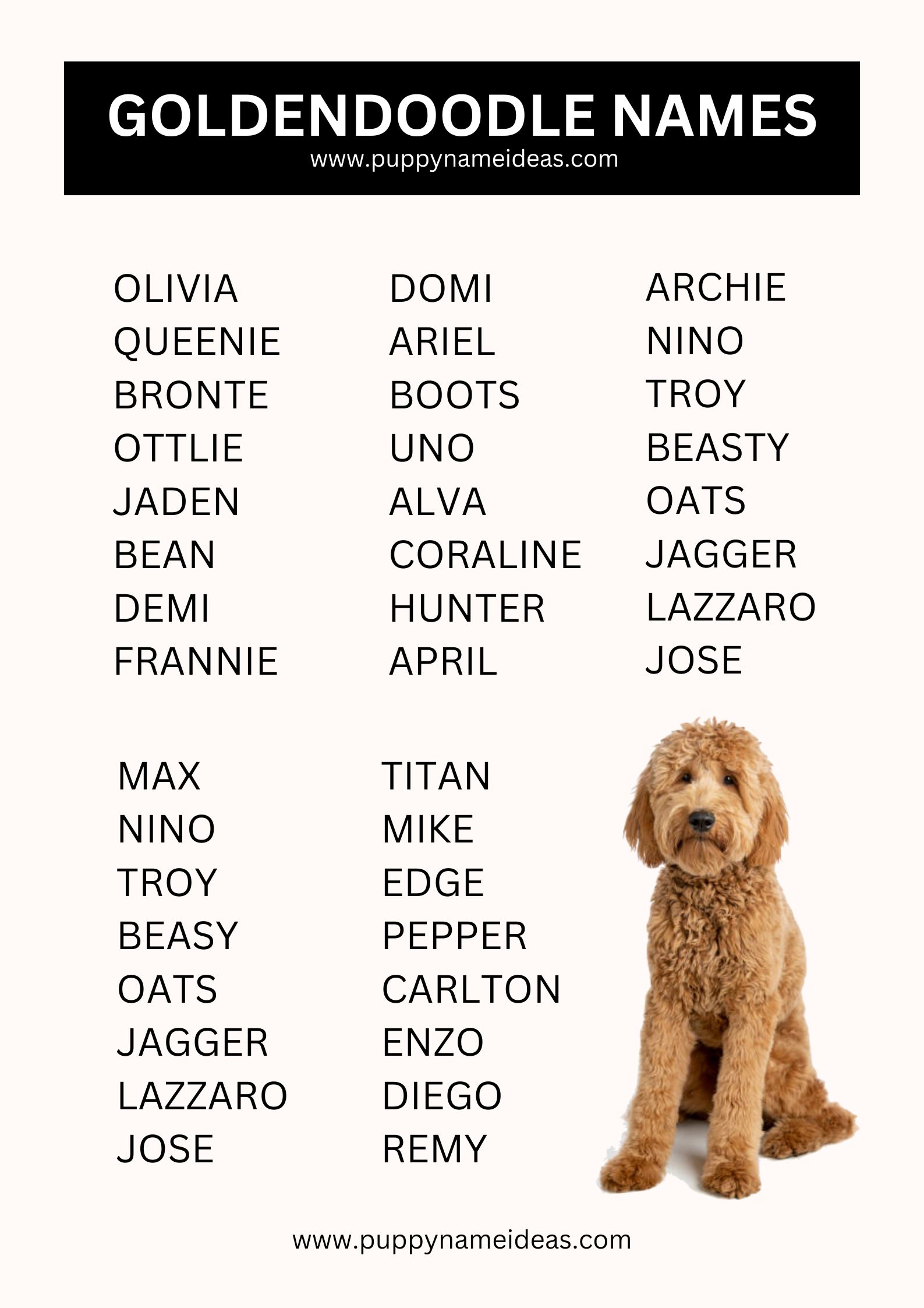 list of goldendoodle names