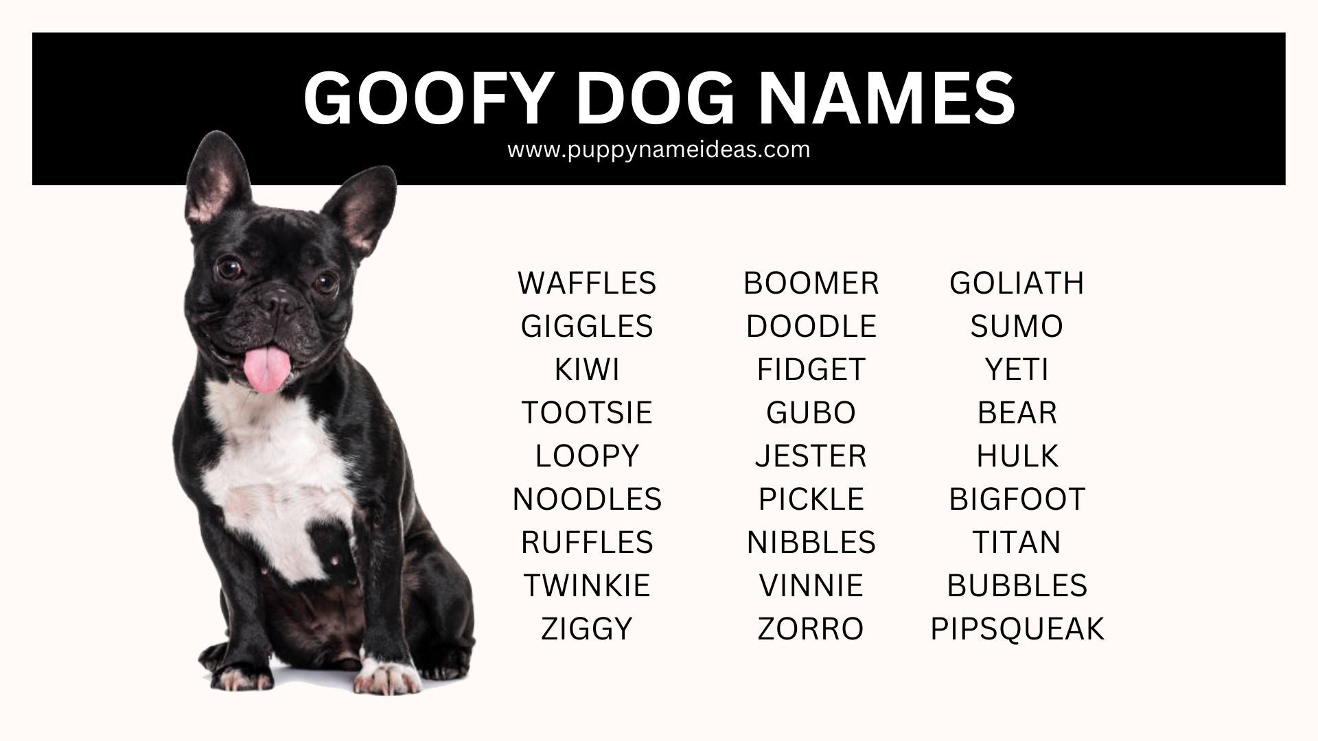 list of goofy dog names